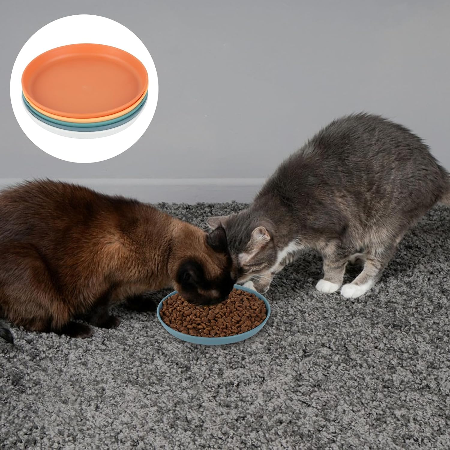 Pack of 12 Flat Feeding Bowls, Cat Food Bowls, Cat Feeding Bowls for Cat Food Bowl, Flat Cat Bowl, Cat Bowls, Cat Plates, Drinking Bowl, for Dry Wet Food