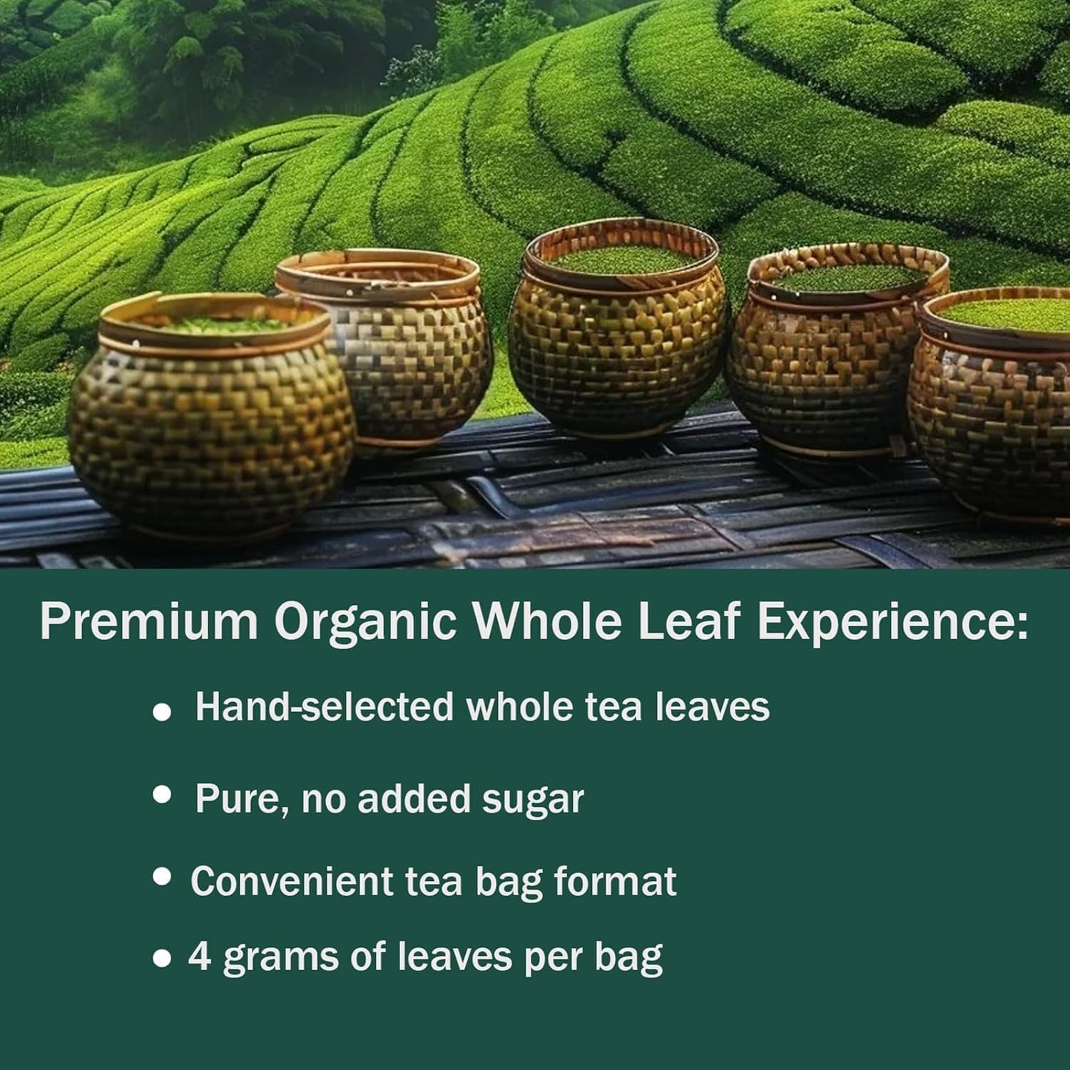 Pipi Tea Organic Oolong Tea Bags-Whole Leaf, (20 Bags)4G of Hand Selected Leaves - Digestion and Metabolism, Naturally Packed Antioxidants,1Pcs