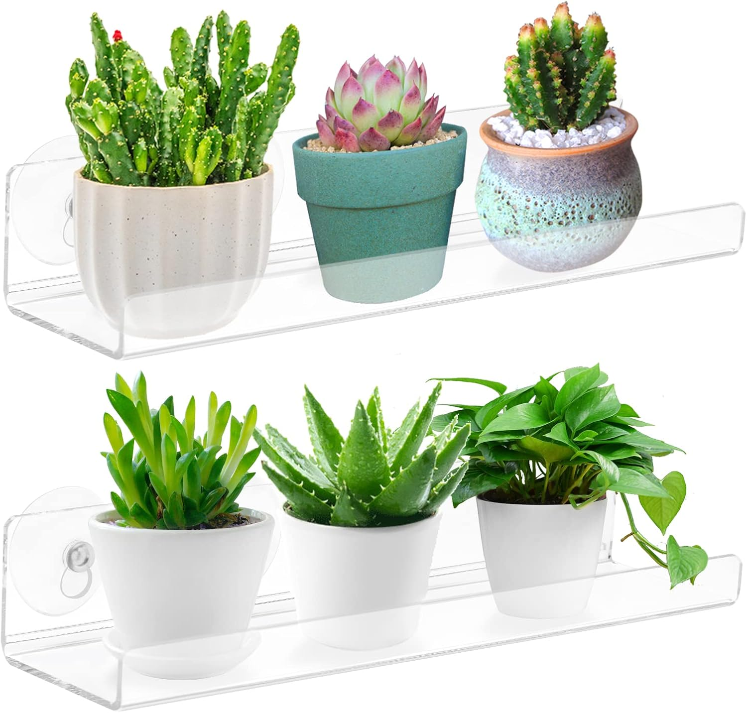 2-Pack 12 Inch Window Plant Shelves - Acrylic Suction Cup Sill Extender for Succulents, Herb Planters, Micro Greens, Bathroom Organizer, Display Stand & Cosmetics Storage | Space-Saving image number 4