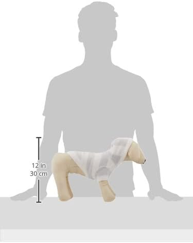 Gelato Pique Cat & Dog PAGG229506 Smoothie 2 Border Dog Hoodie, Blue, (BLU), M image number 1