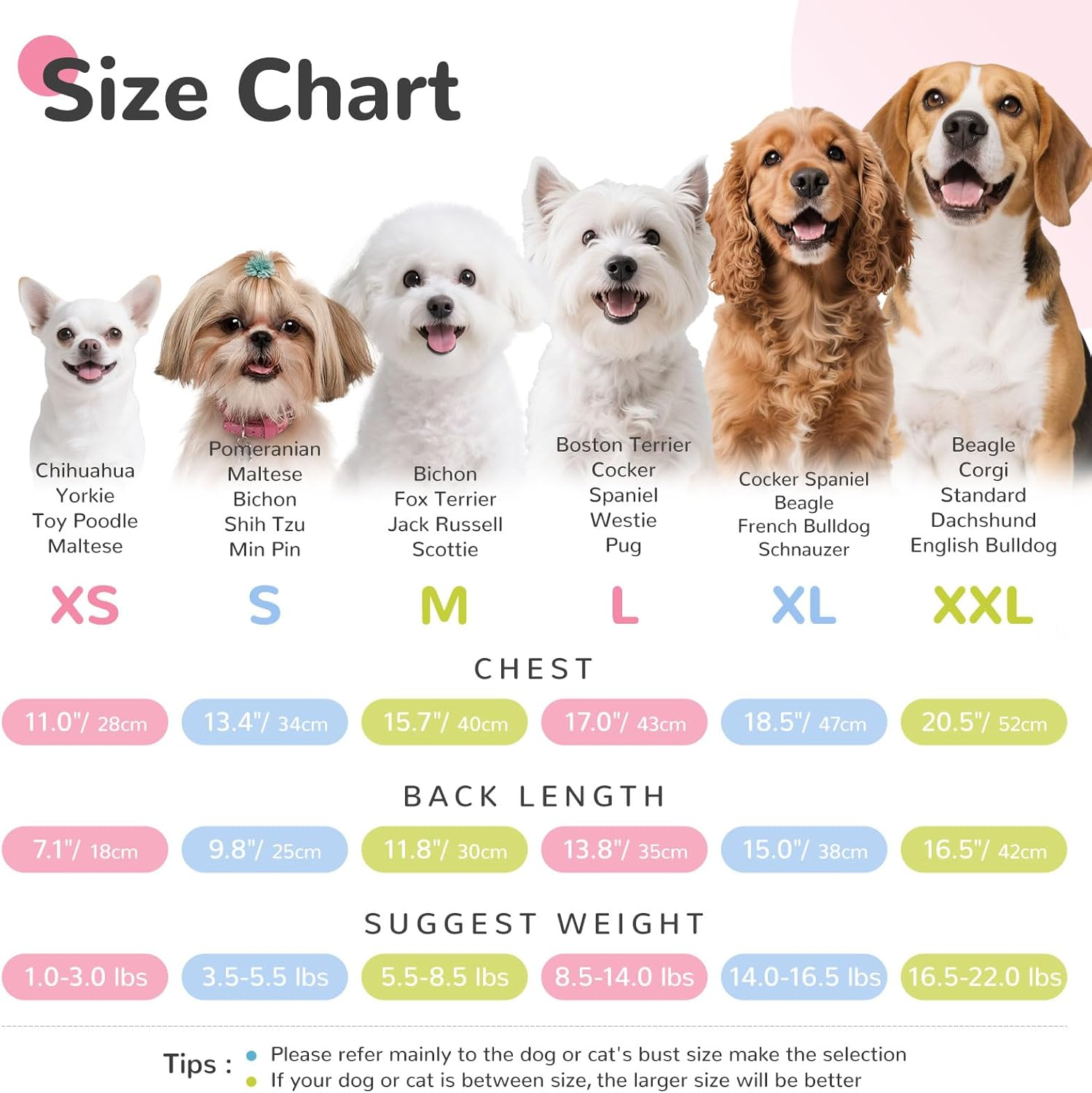 AXIIJGL Dog Tshirts for Small Dogs Polo Shirt Stretchy Dog T Shirt Breathable Dogs Cooling Vest Sweatshirts Girl Boy Puppy Dachshund French Bulldog Frenchie Chihuahua Pet Clothes