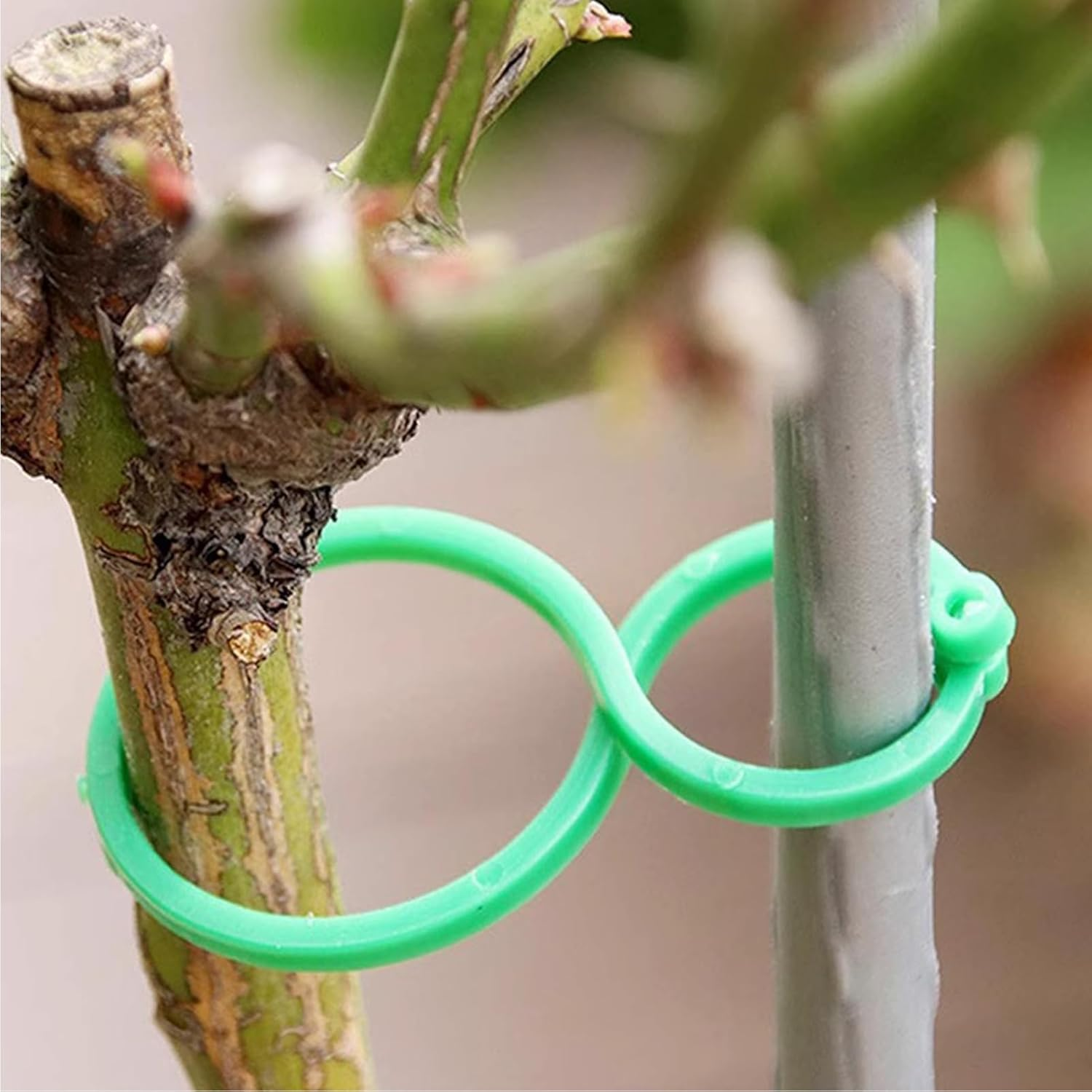 Plant Support Clips - Tomato Clips for Support,Gardening Vine Fixing Tool for Vegetables Gourds Cucumbers Tomatoes image number 6