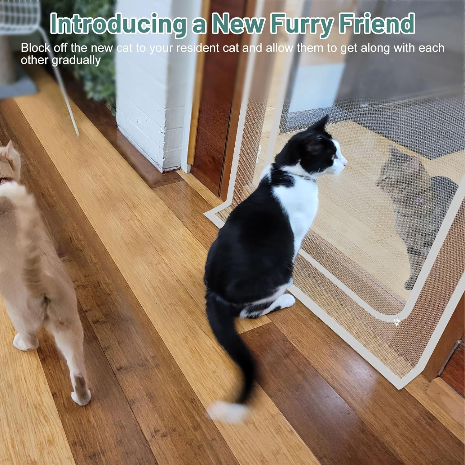 Earrck Cat Screen Door, Reinforced Mesh Screen Door for Introducing New Cats, Keep Pets Indoor & Allow Fresh Air Flow, Scratch Proof, Double-Sided Zipper (Fits Door Size : 120Cm X 240Cm) image number 1