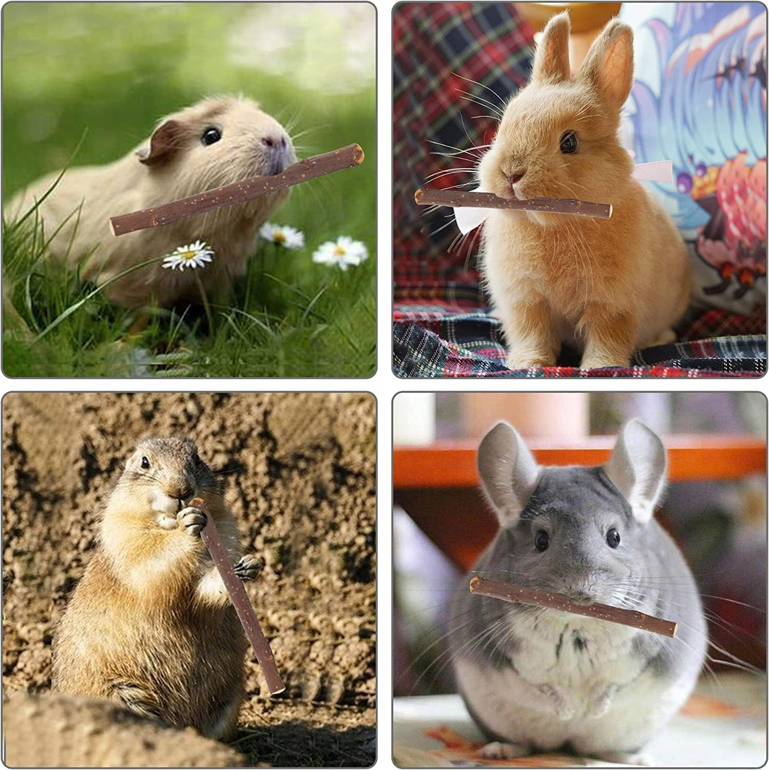 JCBCKJ Apple Sticks Small Animals Molar Wood Treats Toys for Rabbits Chinchillas Guinea Pig Hamster Gerbil Bunny and Small Animal Chew Stick Toys (50G) image number 2