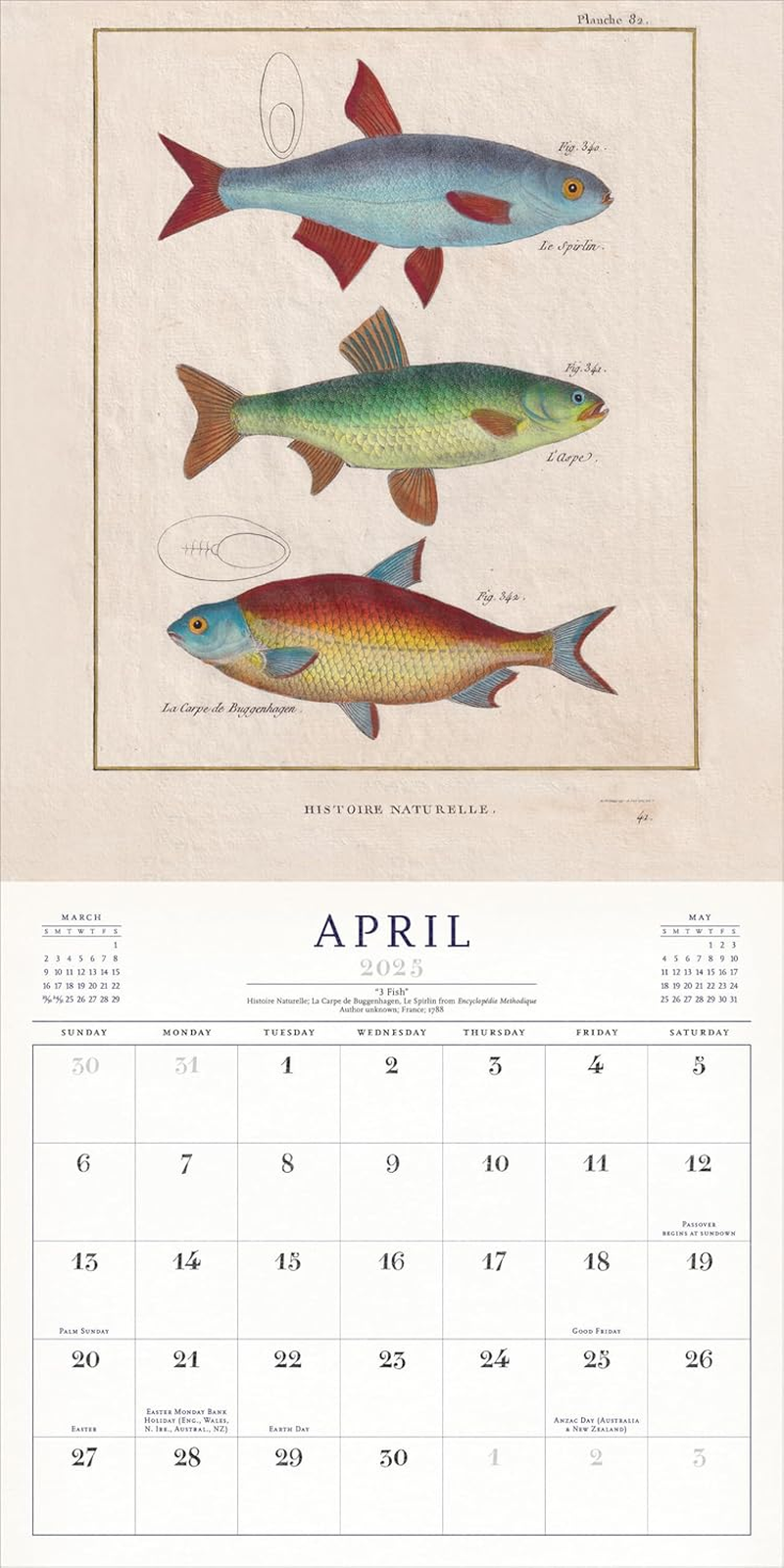 The World of John Derian Wall Calendar 2025