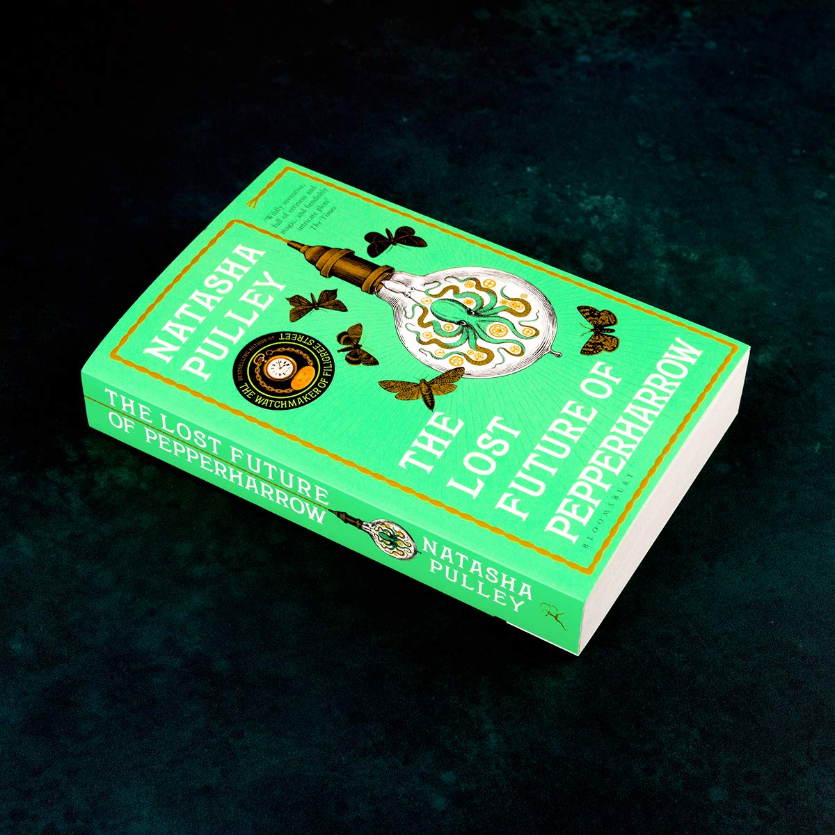 The Lost Future of Pepperharrow