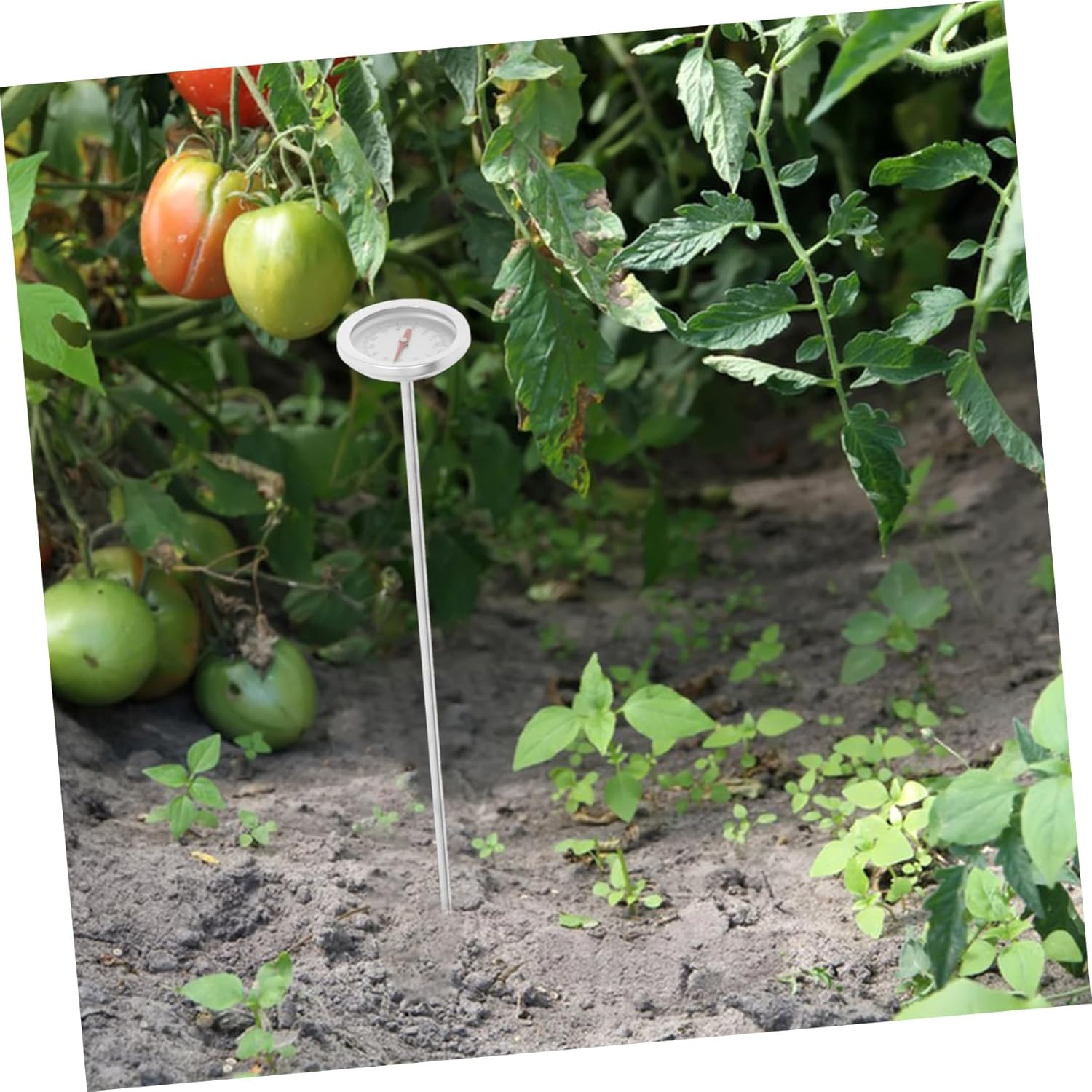 Portable Stainless Steel Soil Thermometer for Home Composting Probe Temperature Gauge for Accurate Lawn and Garden Soil Measurement image number 6