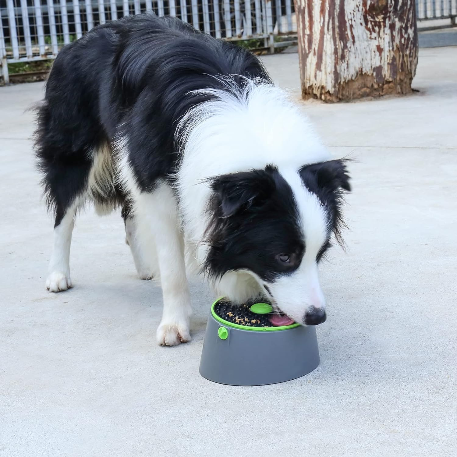 Pet Slow Feeder Set,Dog Bowls,Dog Lick Mat,Pet Puzzle Toys 3 in 1, Suitable for Dogs and Cats image number 2