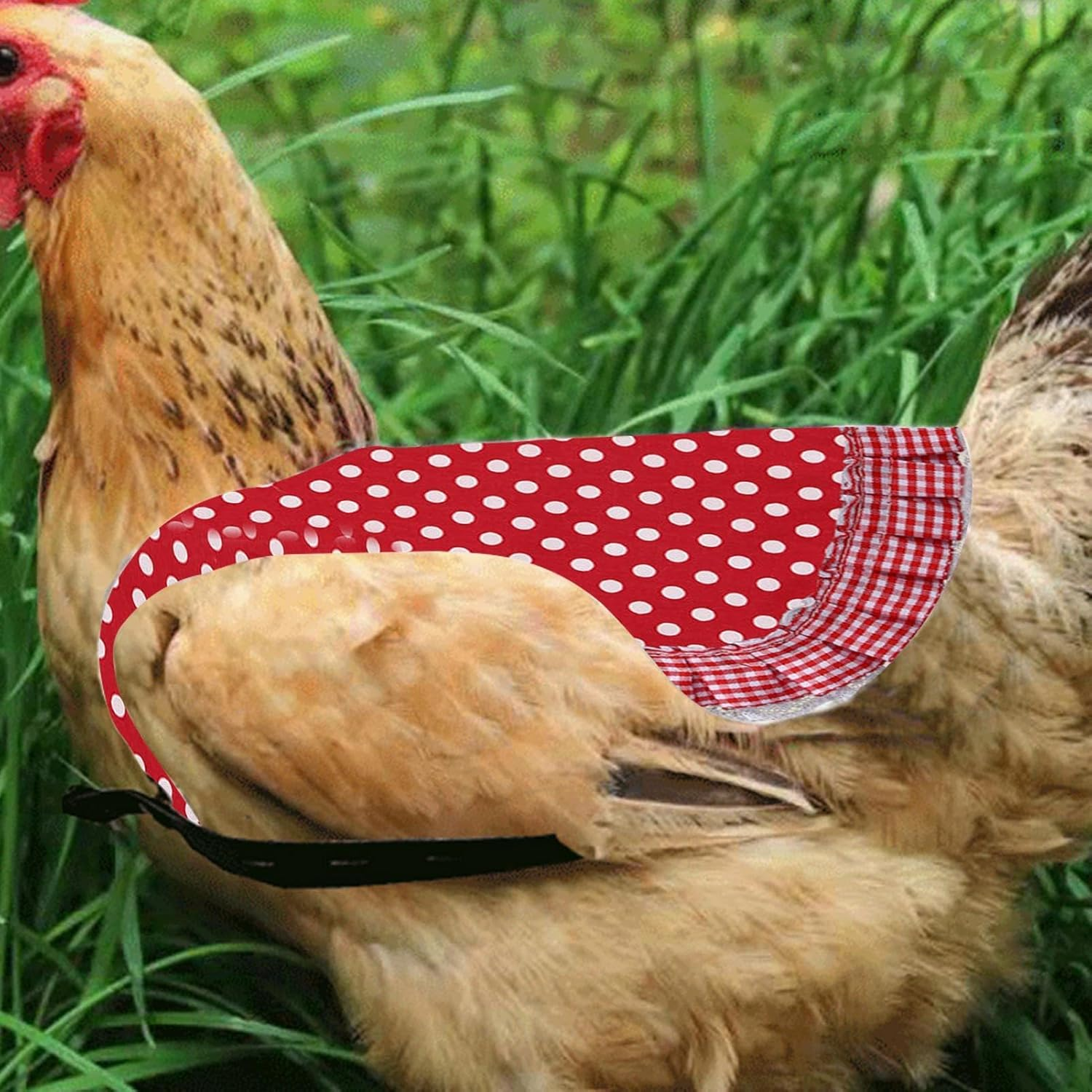 Chicken Saddle Hens, Poultry Feather Protector, Hen Wing Protector, Hen Feather Fixer, Chicken Vest Clothing, Poultry Protector Jacket, Feather Protective Jacket, Chicken Wing Back, Hen Apron Protecto image number 4