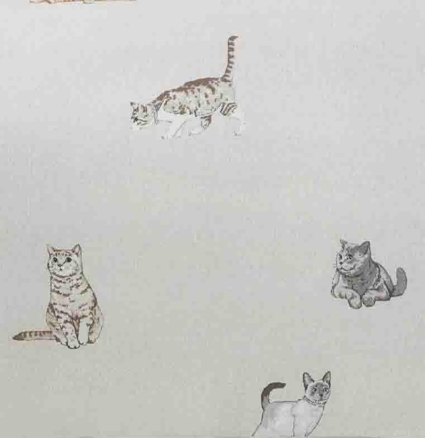 Rapport Home Cats Bedding Set - Purrfect Microfibre 180TC Reversible Single Grey Duvet Cover Set image number 2