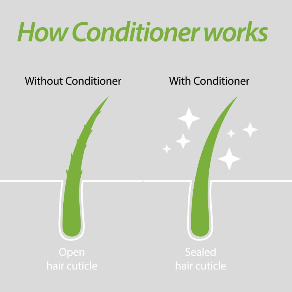 Plantur 39 Starter Pack - Shampoo + Conditioner Bundle for Fine and Brittle Hair
