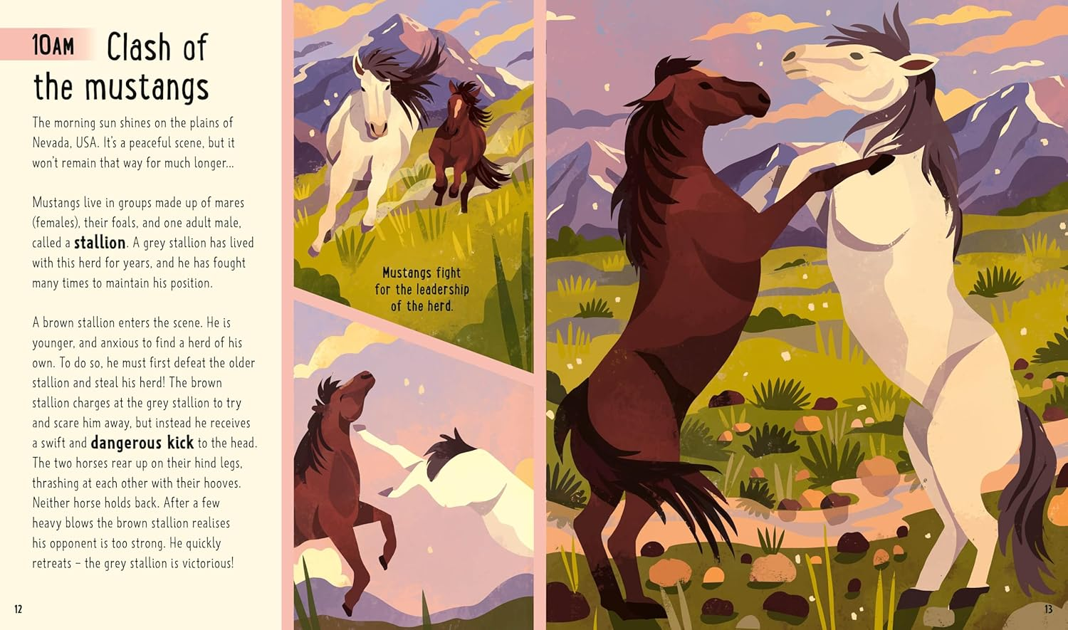 Horses (A Day in the Life): What Do Wild Horses like Mustangs and Ponies Get up to All Day? image number 2