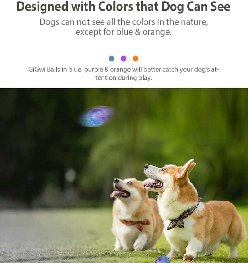 Gigwi Squeaker Ball Dog Toy, Large