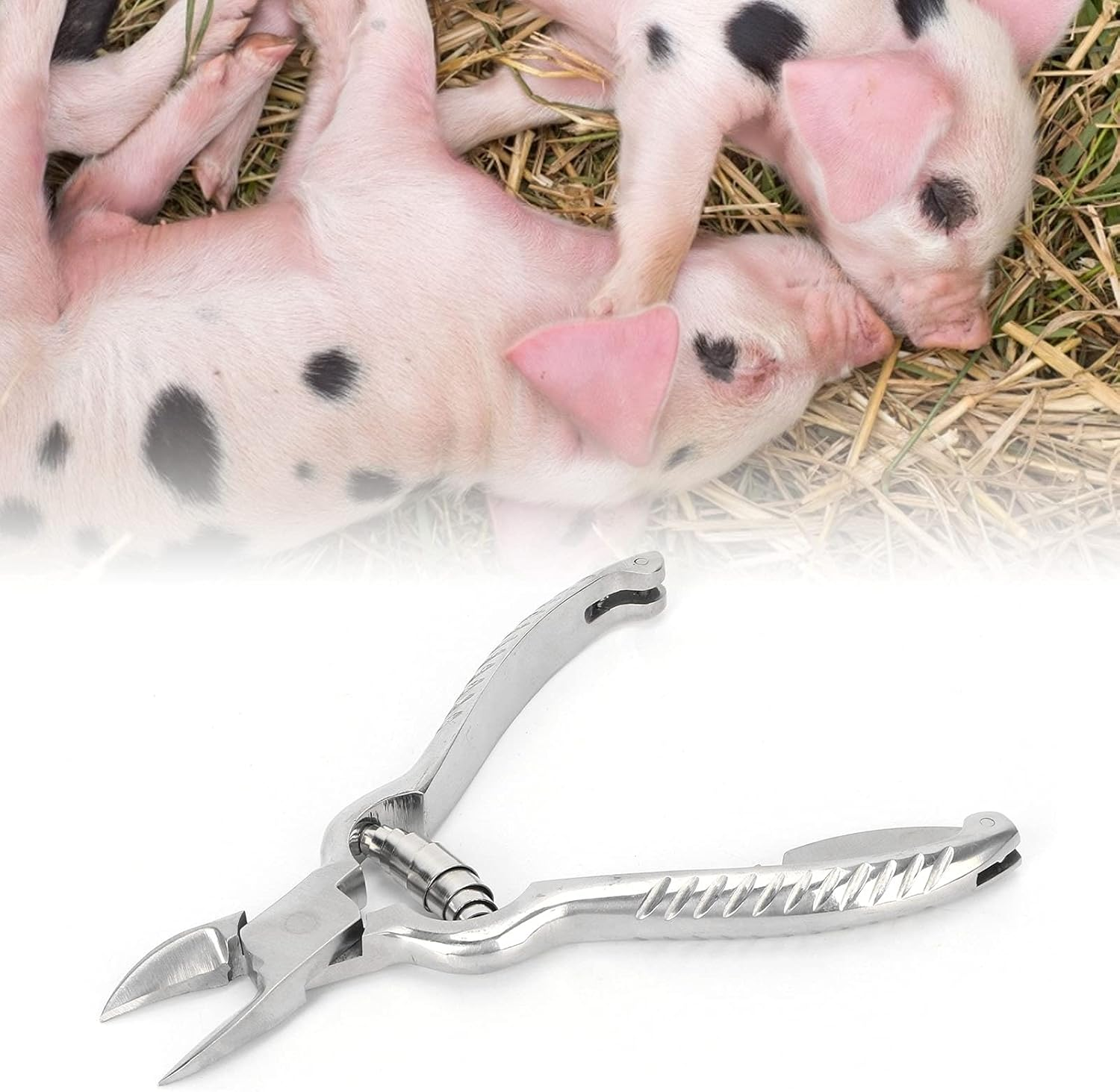 Piglet Teeth Cutter, 14Cm/ 5.5In Premium Stainless Steel Pig Tooth Nipper Teeth Clipper for Home, Farm image number 2