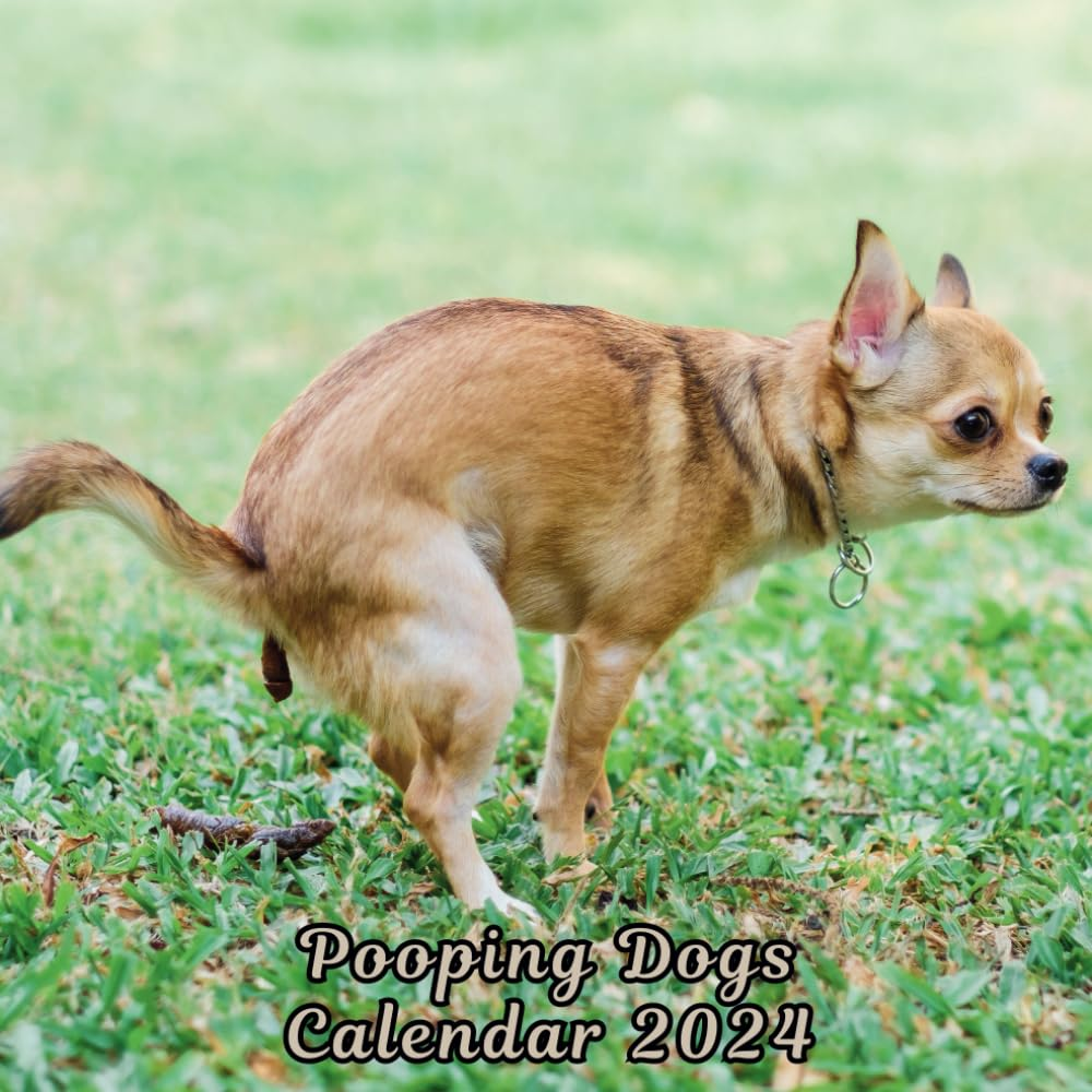 Pooping Dogs Calendar 2024: Funny Dog Calendar for Dog Lovers | Joke, Gag, Gift, Stocking Filler, Secret Santa, White Elephant, New Year Calendar, (January to December)