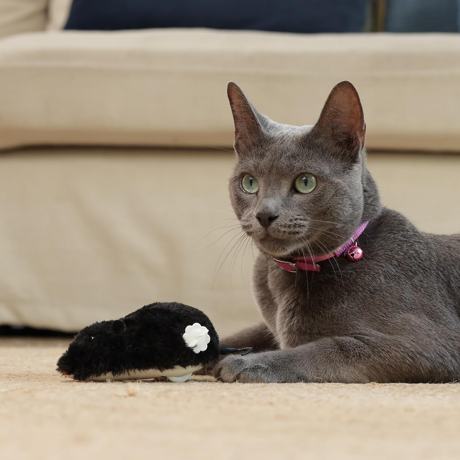 TOTAL CARE Cat Toy Wind-Me-Up Mouse 1 Piece image number 5