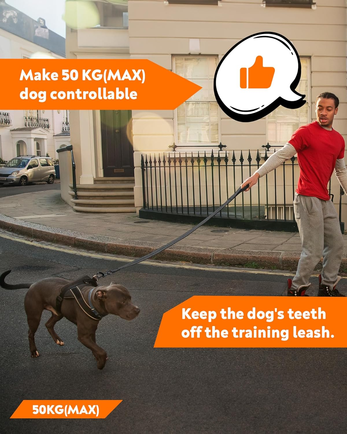 Toozey Recall Lead for Dogs 5 M Rubberised Dog Lead, Dog Accessories for Small to Large Dogs with Hand Loop and Storage Bag - Black (Width 2.5 Cm) image number 3