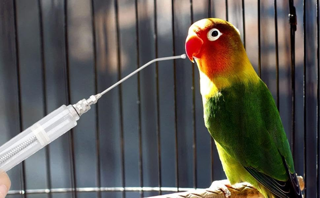 Manual Feeding Syringe Set Feeding Tubes with Curved Gavage Tubes and Stainless Steel Metal Feeding Spoon for Baby Birds Parrot Small Pet image number 6