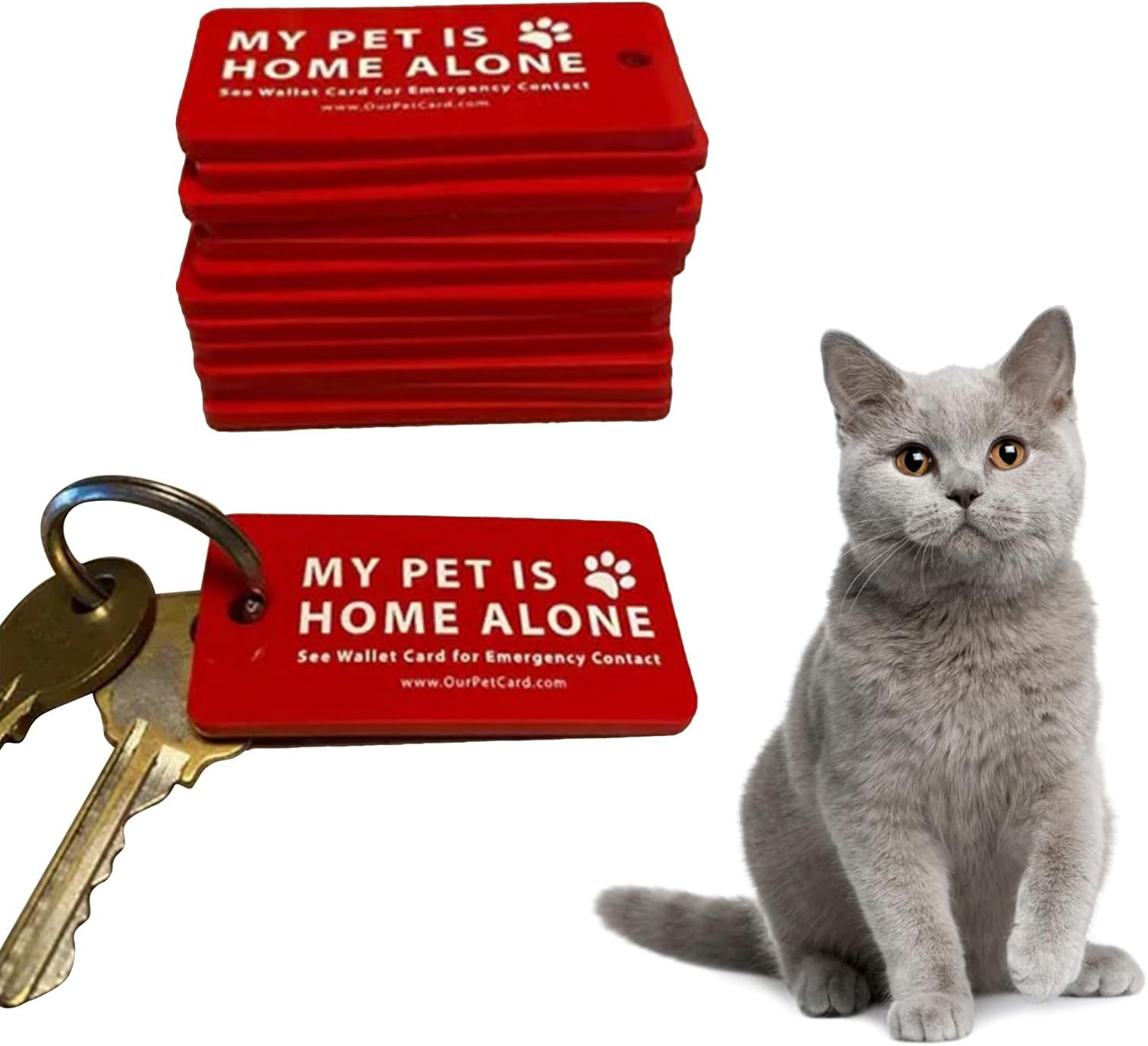 Puco Dogs Cats Are Emergency Card and Key with Emergency Contact Call Cards, Pet Emergency Contact Keychain image number 4