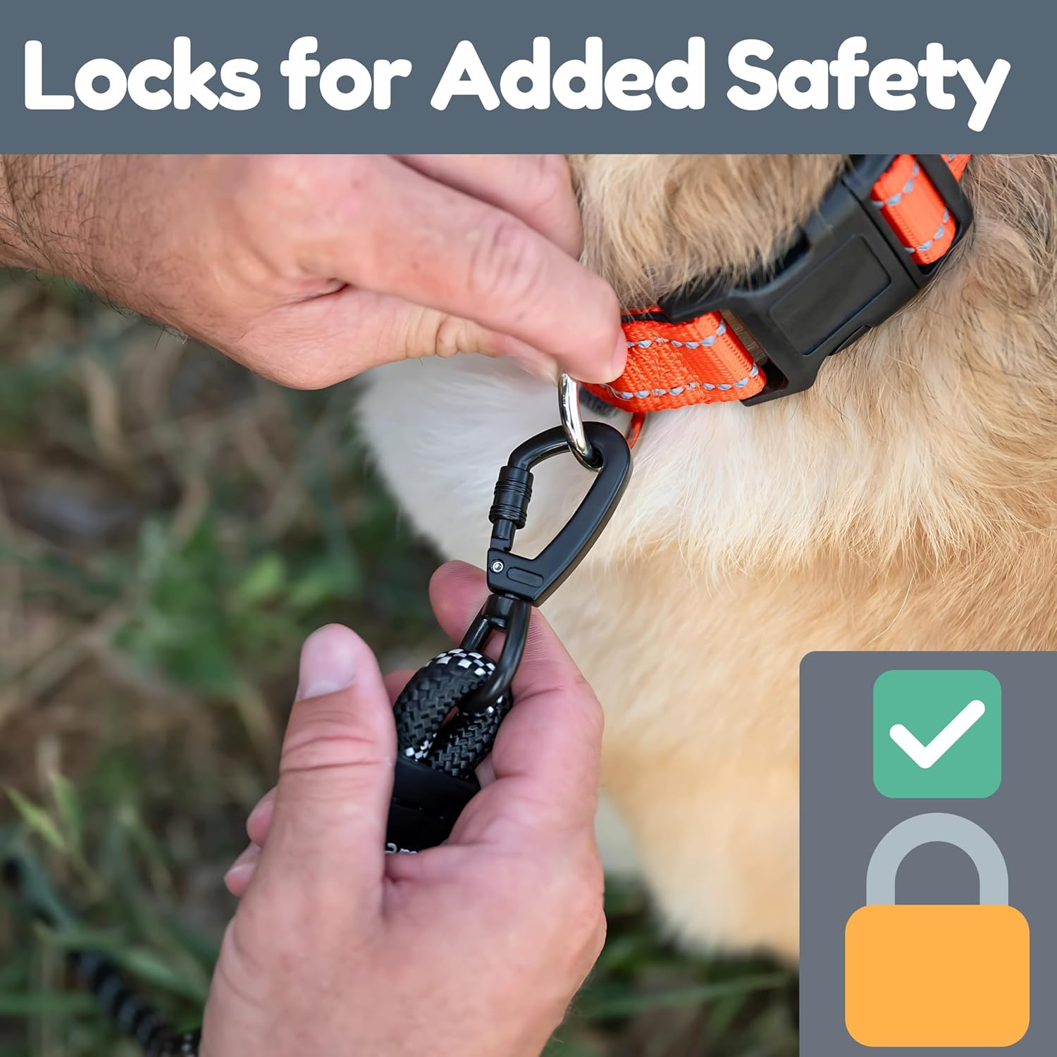 Roam Gear Black 6FT Dog Leashes - Extra Padded Two Handles, Lockable Metal Carabiner Clip, Durable Silicone Clamps, Reflective Dog Leash, No Pull Heavy Duty Dog Leash for Medium, Large, X-Large Dogs