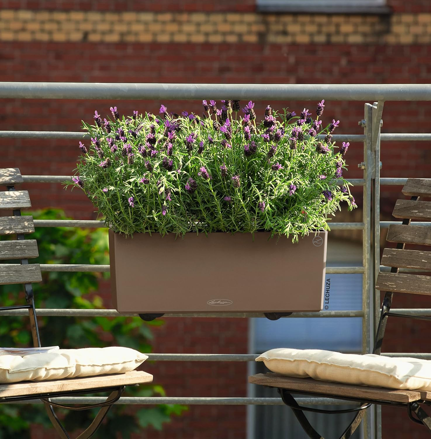 Lechuza 15674 Balconera Color 50, Nutmeg Matte, 20" X 8" X 8" Self Watering Planter, 50Cm=19.68 image number 3