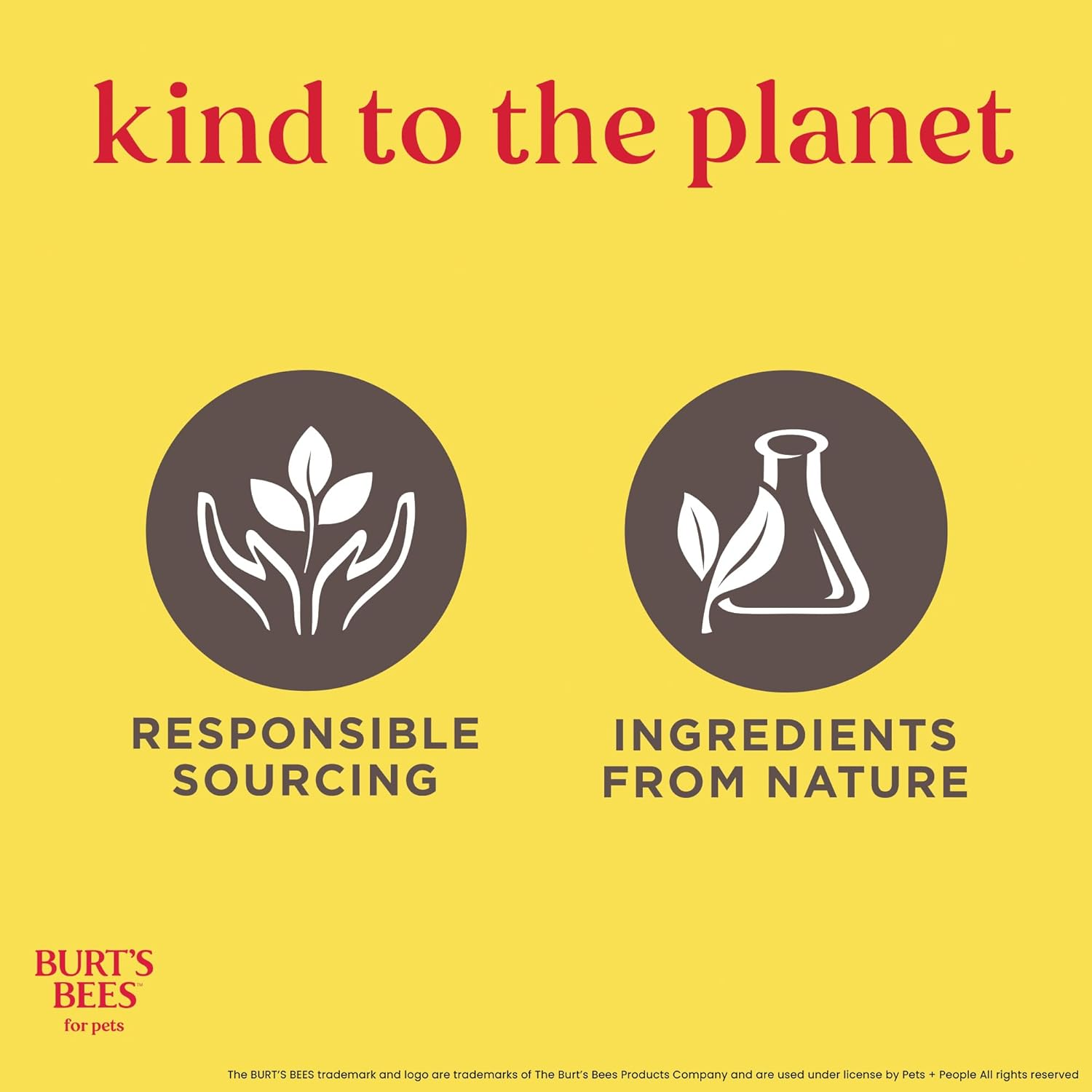 Burts Bees Multi-Purpose Wipes with Honey - 100 Wipes