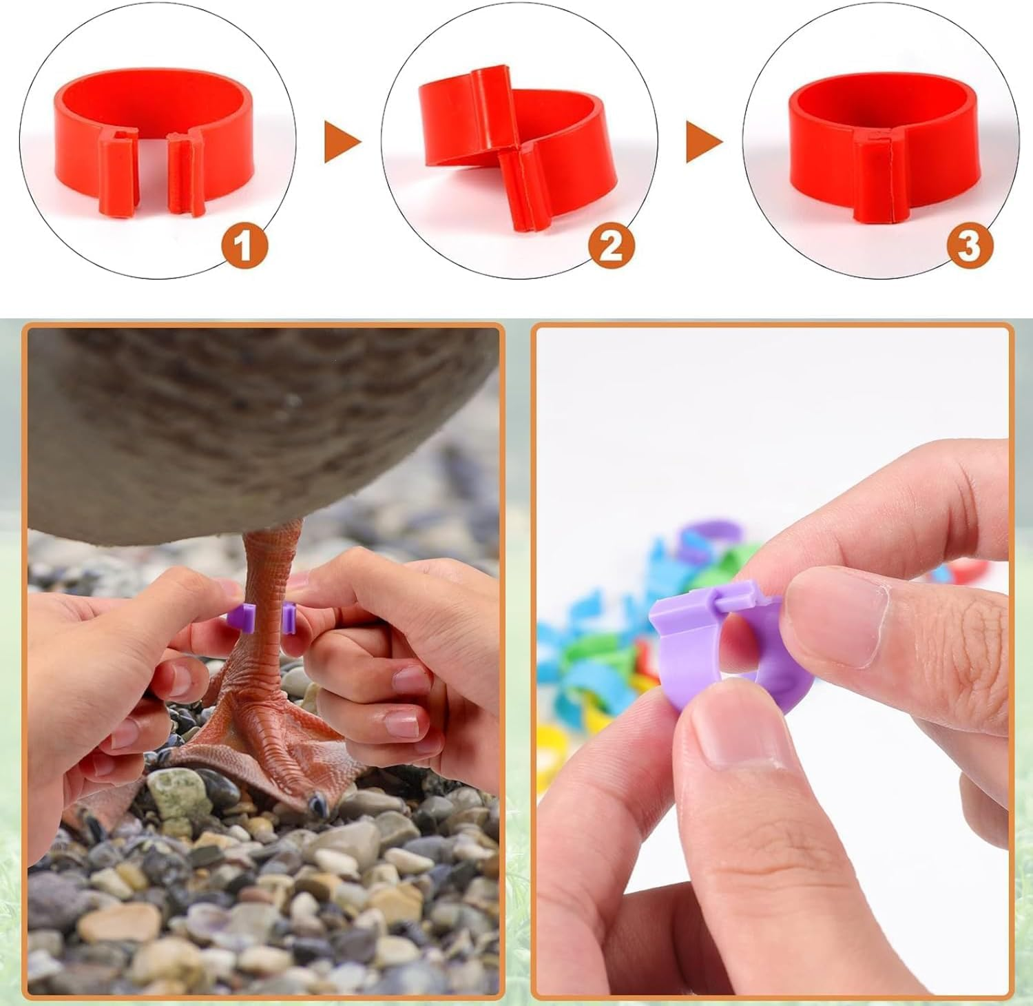 Chickenidentificationleg Bands,100Pcschicken Leg Rings,Chicken Thigh Ring Clip,Numbered Chicken Leg Rings,Numberedchickenidentification Legbands,Chickensduckslegrings,Chicken Leg Bands Rings