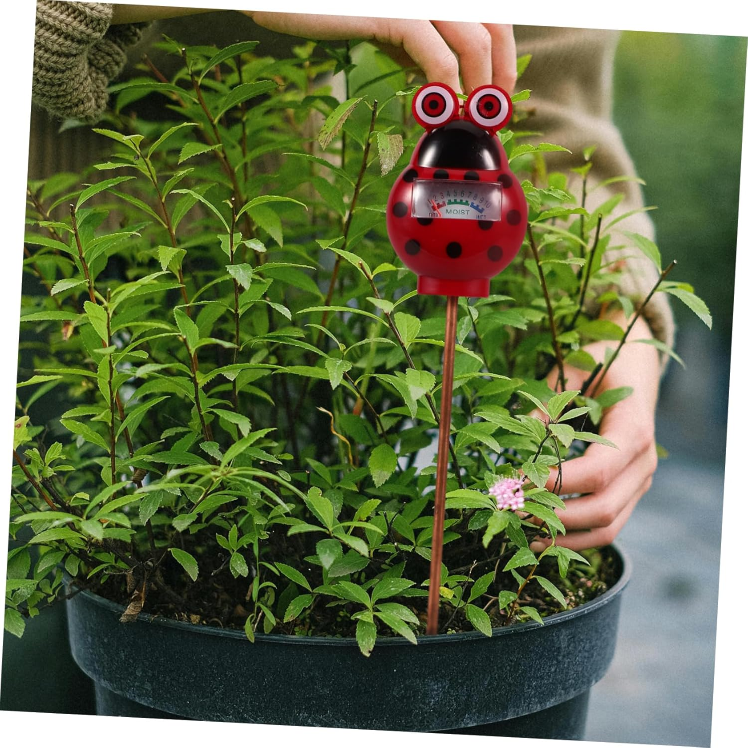 TINEASUR Soil Moisture Meter Plant Moisture Detector Portable Beetle-Shaped Gardening Soil Tester for Garden and Indoor Plants image number 3