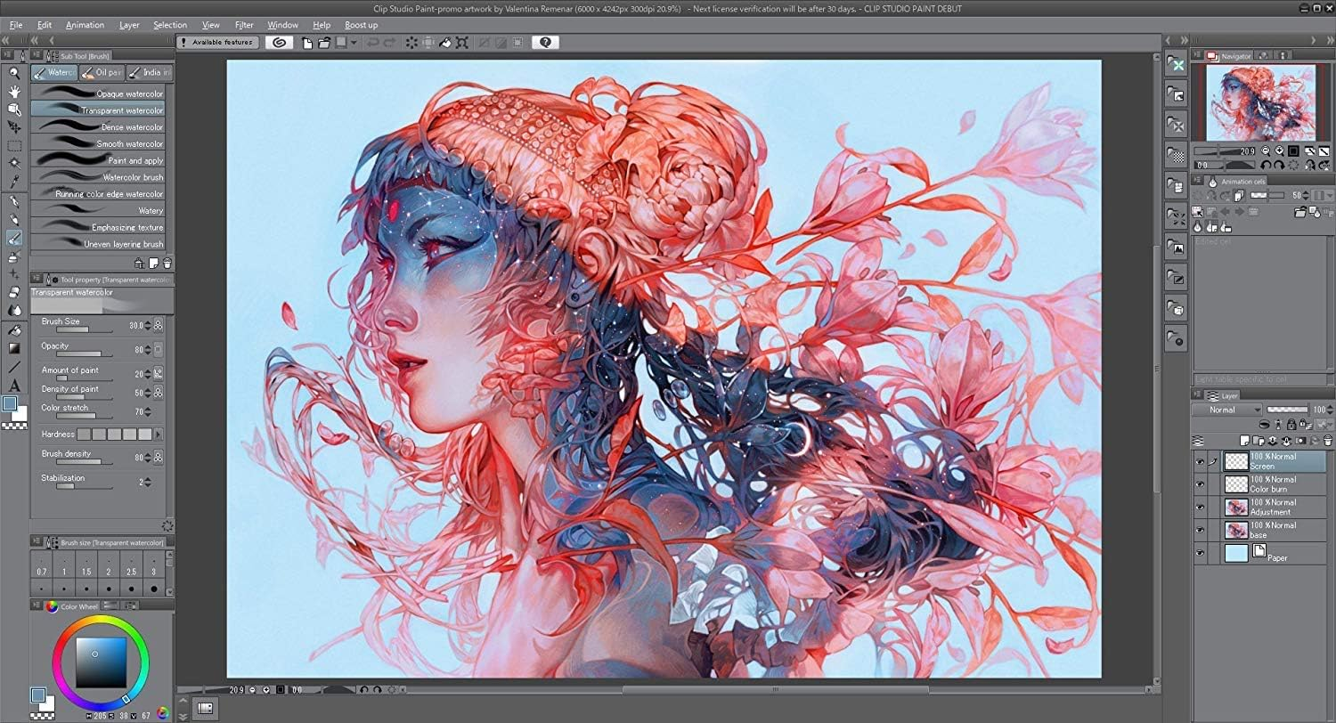 GRAPHIXLY Clip Studio Paint PRO + TABMATE for Global Bundle image number 3