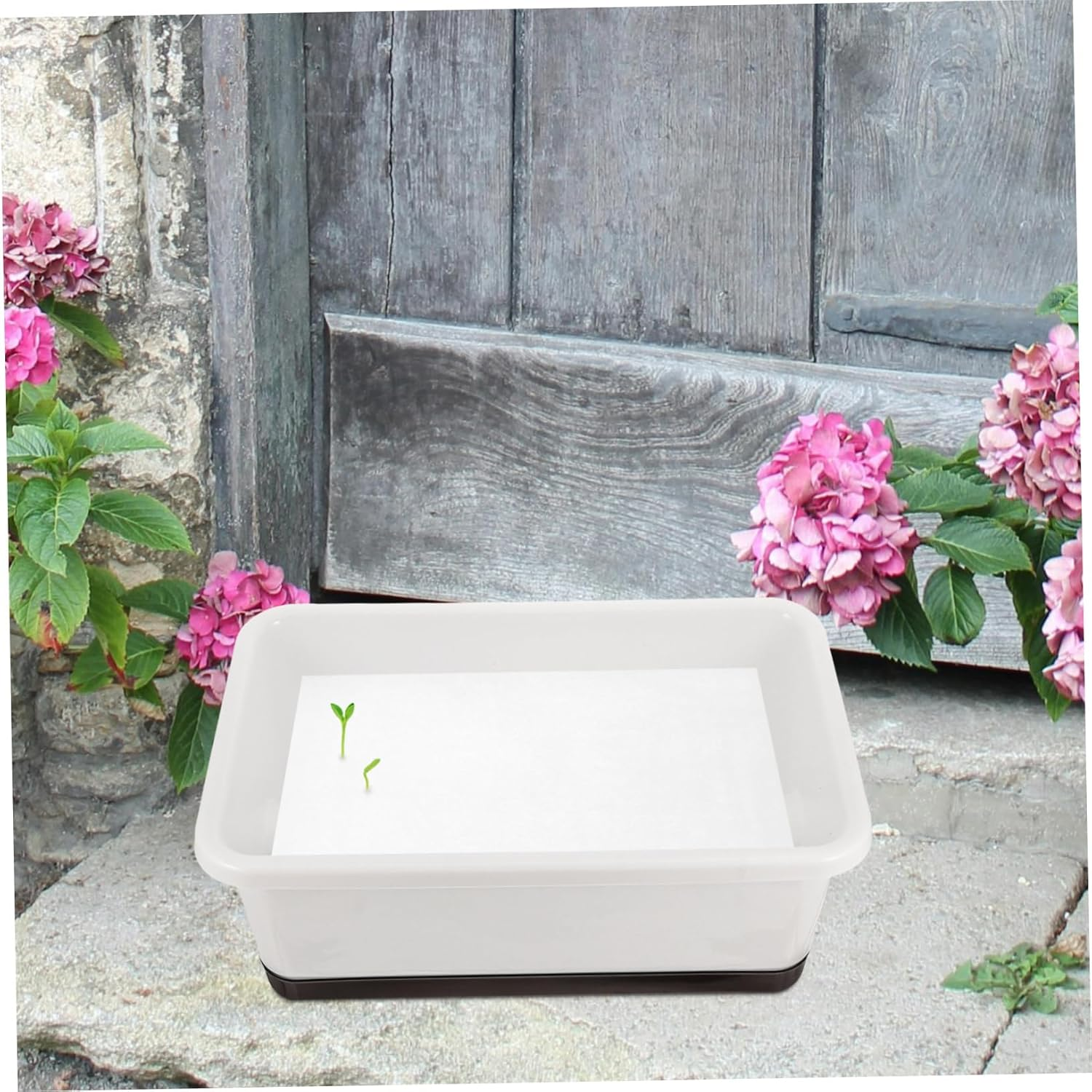 CIYODO 200Pcs Germinating Paper Sprout Plate for Vegetable Growing Garden Seedling Tray Paper 19Cm&times;27Cm Soilless Cultivation Planting for Nursery and Farm Use image number 5