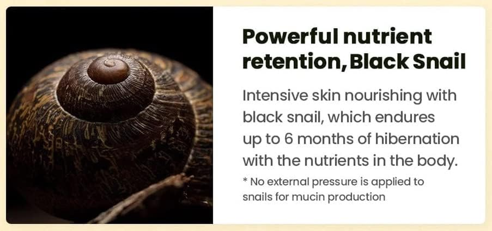 Dr. Gdr.G Black Snail Cream 50Ml 1.69 Fl.Oz. - Black Snail and Pearl Powder Premium Elasticity Care Cream image number 2