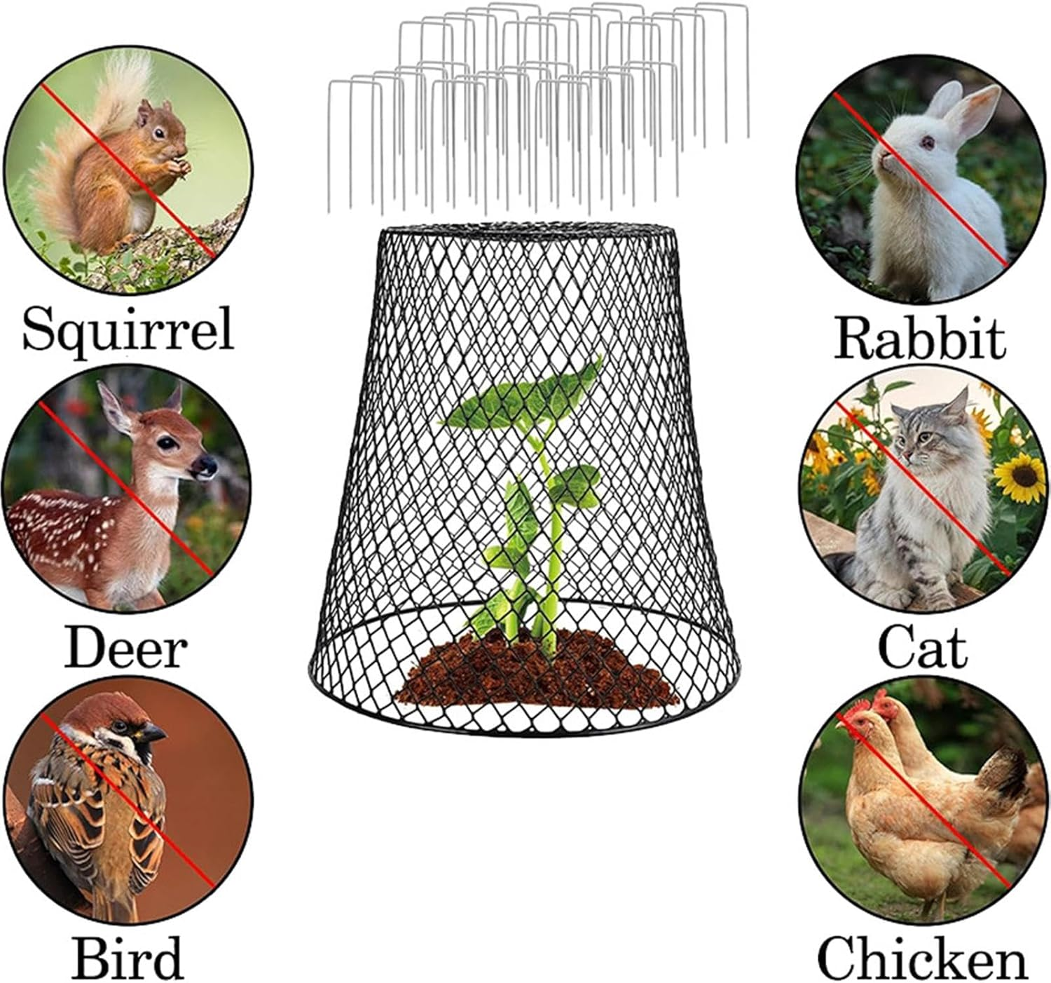 Chicken Wire Cloche Plant Covers Garden Netting Metal Heavy Protectors from Animals for Keeping Bunnies Chicken Squirrels Birds Other Out 23X23Cm (Sliver 5Pc) - Sliver 5Pc image number 5