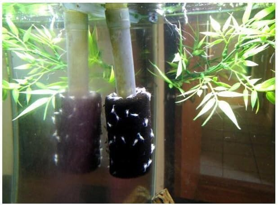 8 Pieces Filter Sponge, Filter Sponge, Filter Sponge Cover Suitable for Aquarium Filter Sponge image number 4