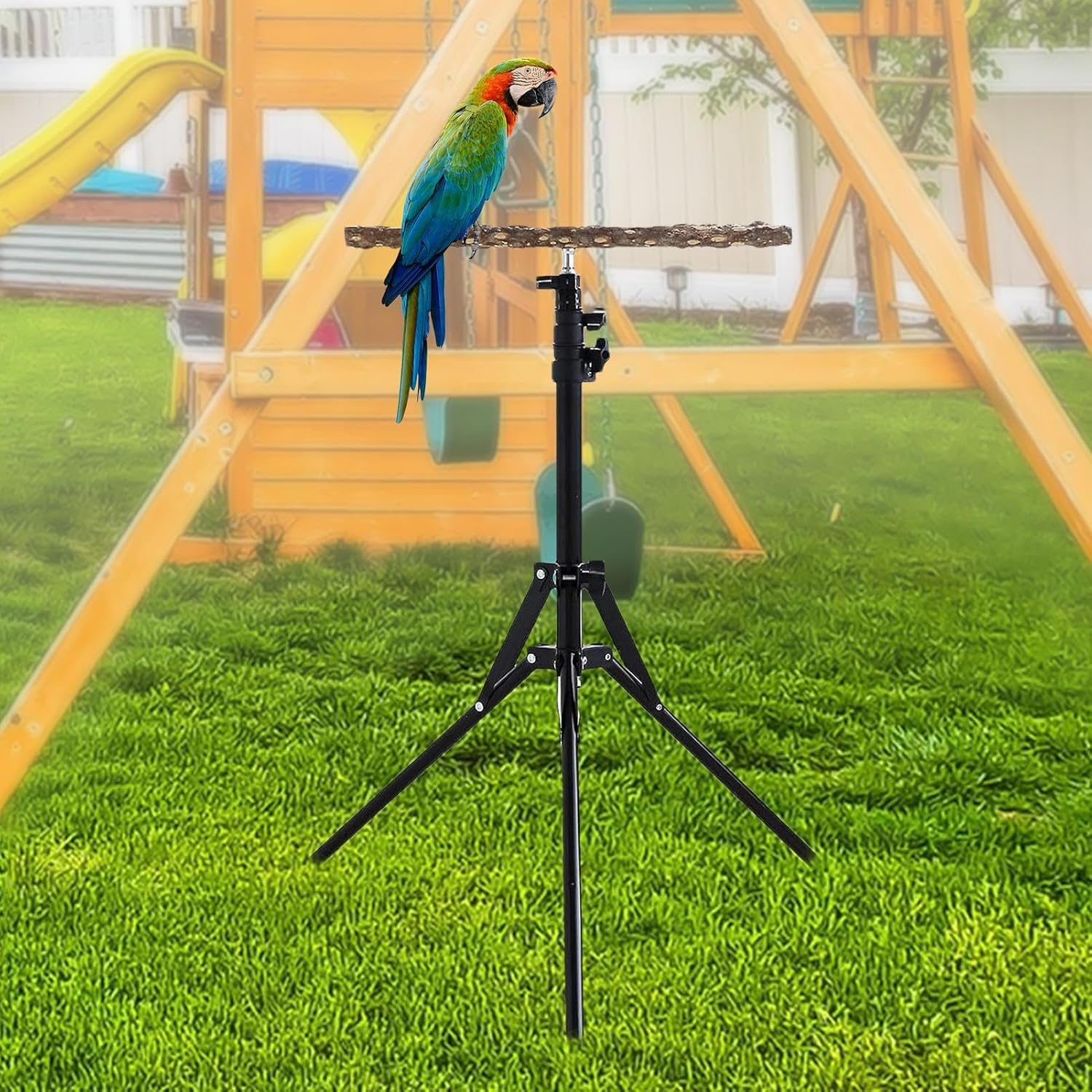 Parrot Stand for Large Birds - Adjustable Bird Gym & Activity Center