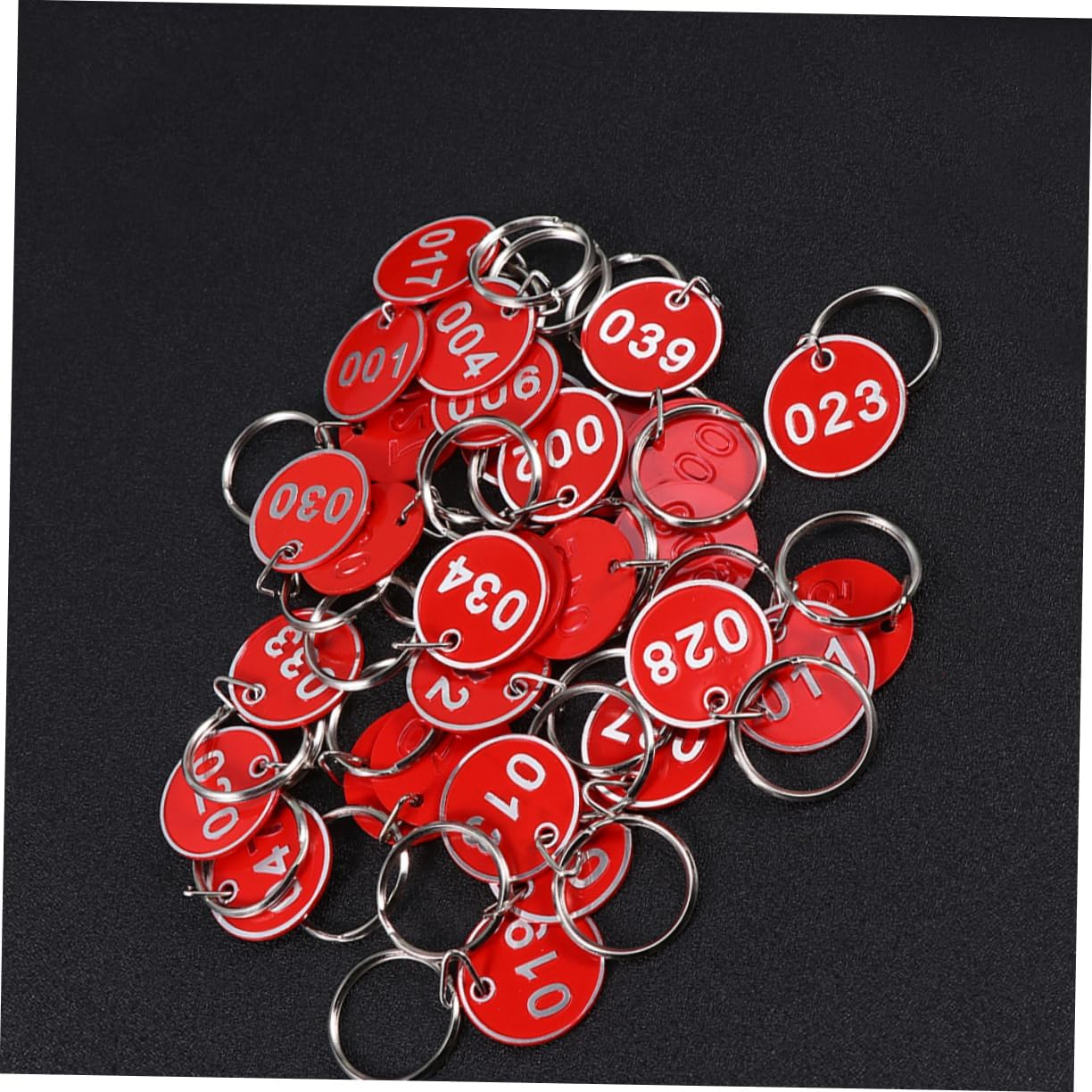 HOOTNEE 50Pcs Metal Number Tags Key Labels Luggage Id Plates for Office Travel and Key Cabinets Numbers for Organizing image number 3