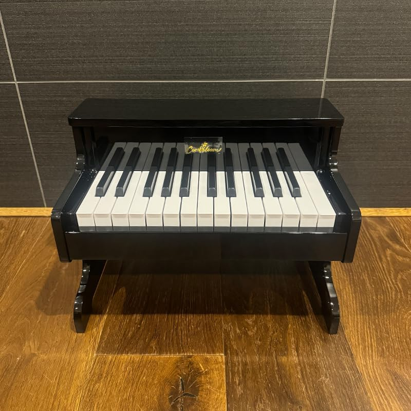 Wooden Piano Keyboard, 25 Keys, Musical Educational Toy (White)