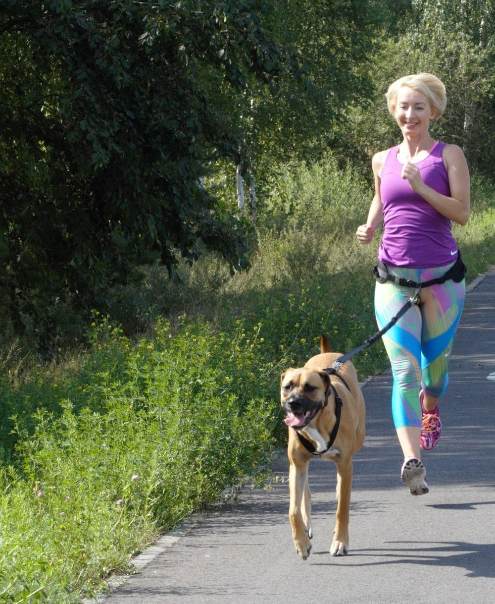 DINGO Canicross Belt 4-In-1 Universal, Adjustable, Safe, Reflective, Multifunctional, Hands-Free Dog Walking Belt for Running, Sports, Jogging, Training, Black (12780-2) image number 1