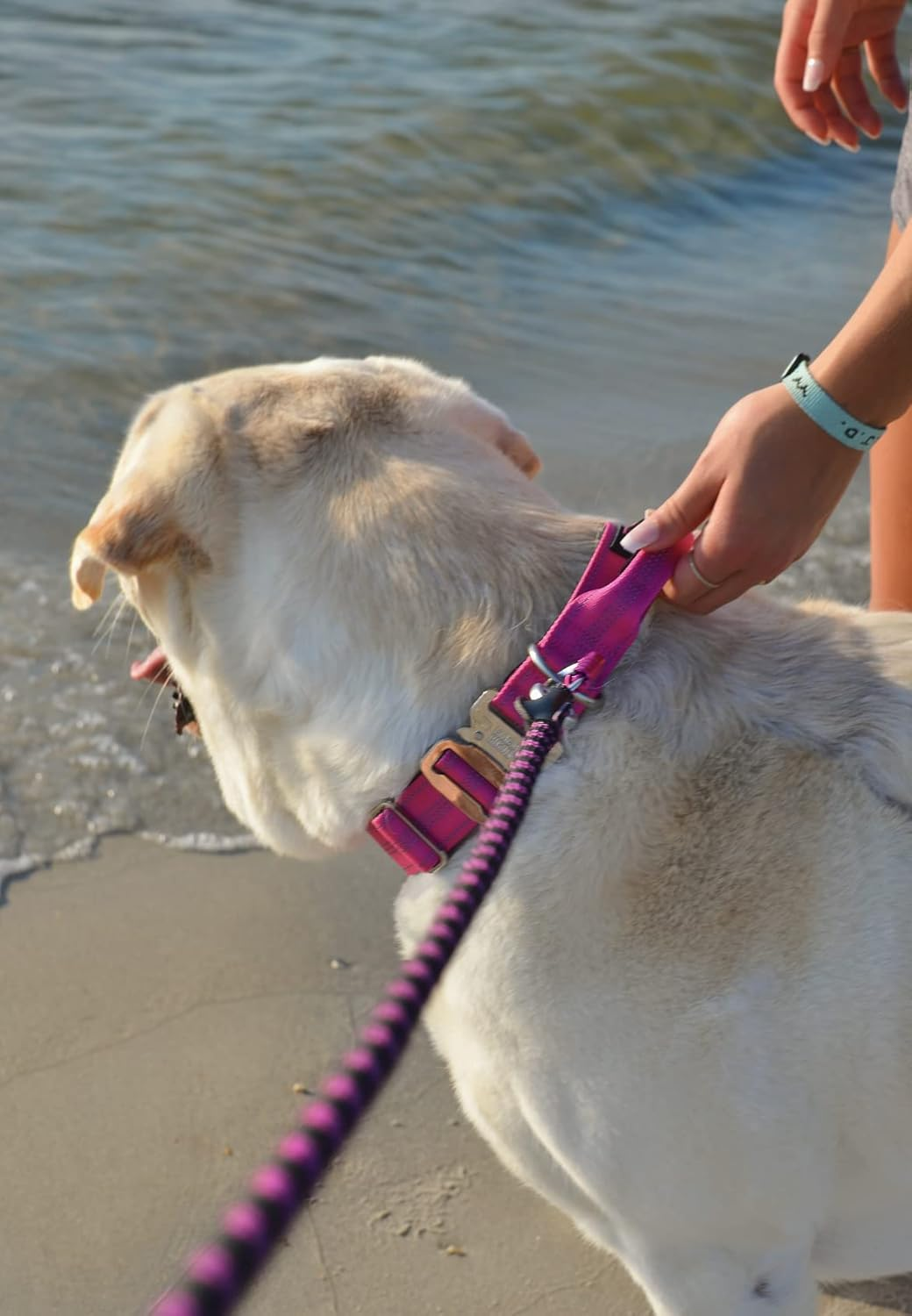 Black Rhino - Tactical Dog Collar Ultra-Soft Neoprene Padded Dog Collars for Medium, Large, XL Dogs | Heavy Duty Metal Buckle | Padded Handle for Dog Training (Large, Pink) image number 3