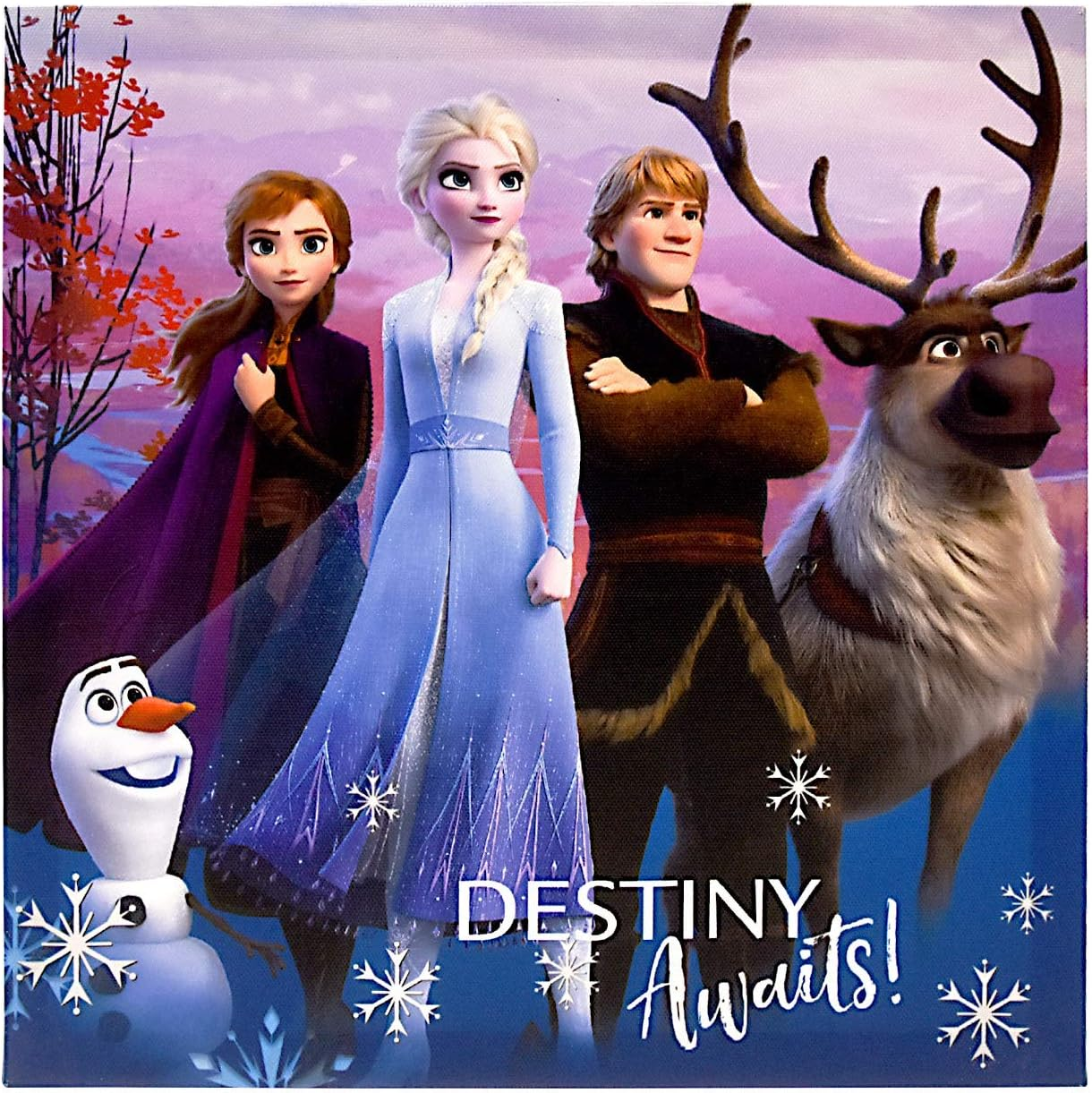 Frozen 2 4 Pack Canvas LED Wall Art, Eachpiece Measures 11.4" X 11.4\