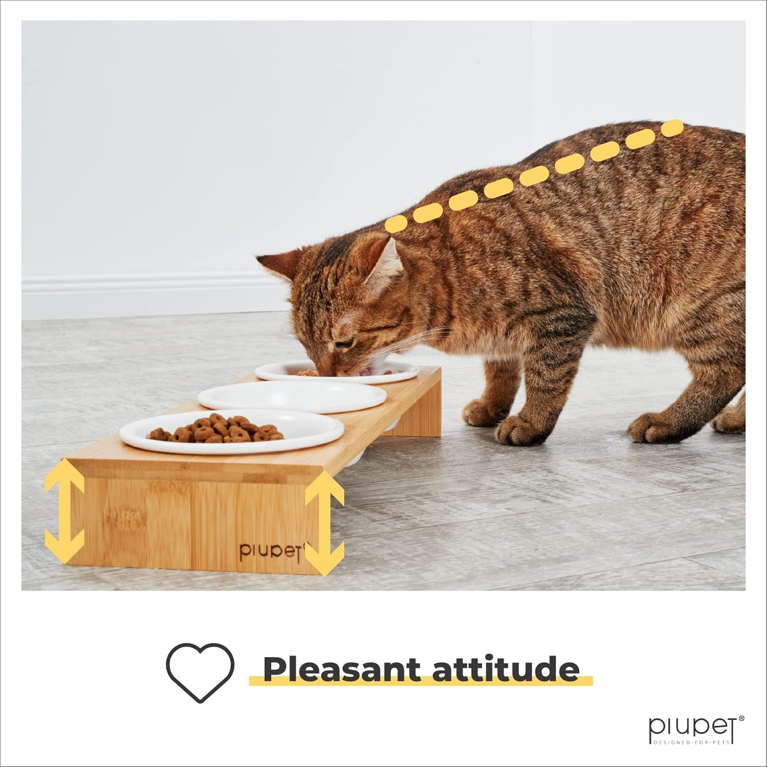 Piupet&reg; Cat Bowl, Set of 3, 250 Ml, Dishwasher Safe, Raised Feeding Bowls for Cats and Small Dogs, Cat Bowl Set, Cat Feeding Bowl, Raised Cat Feeding Bowl, Cat Water Bowl image number 5