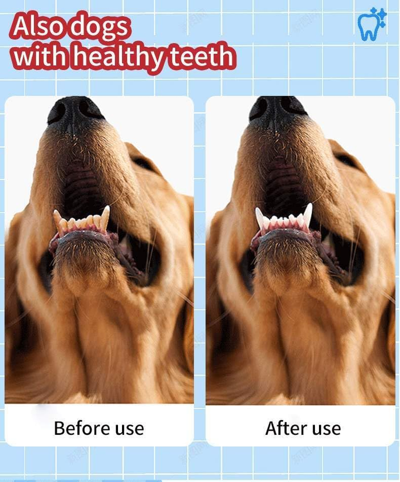 Patchy'S Pets Puppy and Dog Toothbrush Dental Chew Toy Bone, Teeth Cleaning, Teething, Soft Flexible Durable Rubber Dog Toys, Small Treat Holder, Puppy and Small Breeds, Non Toxic (Green) image number 6