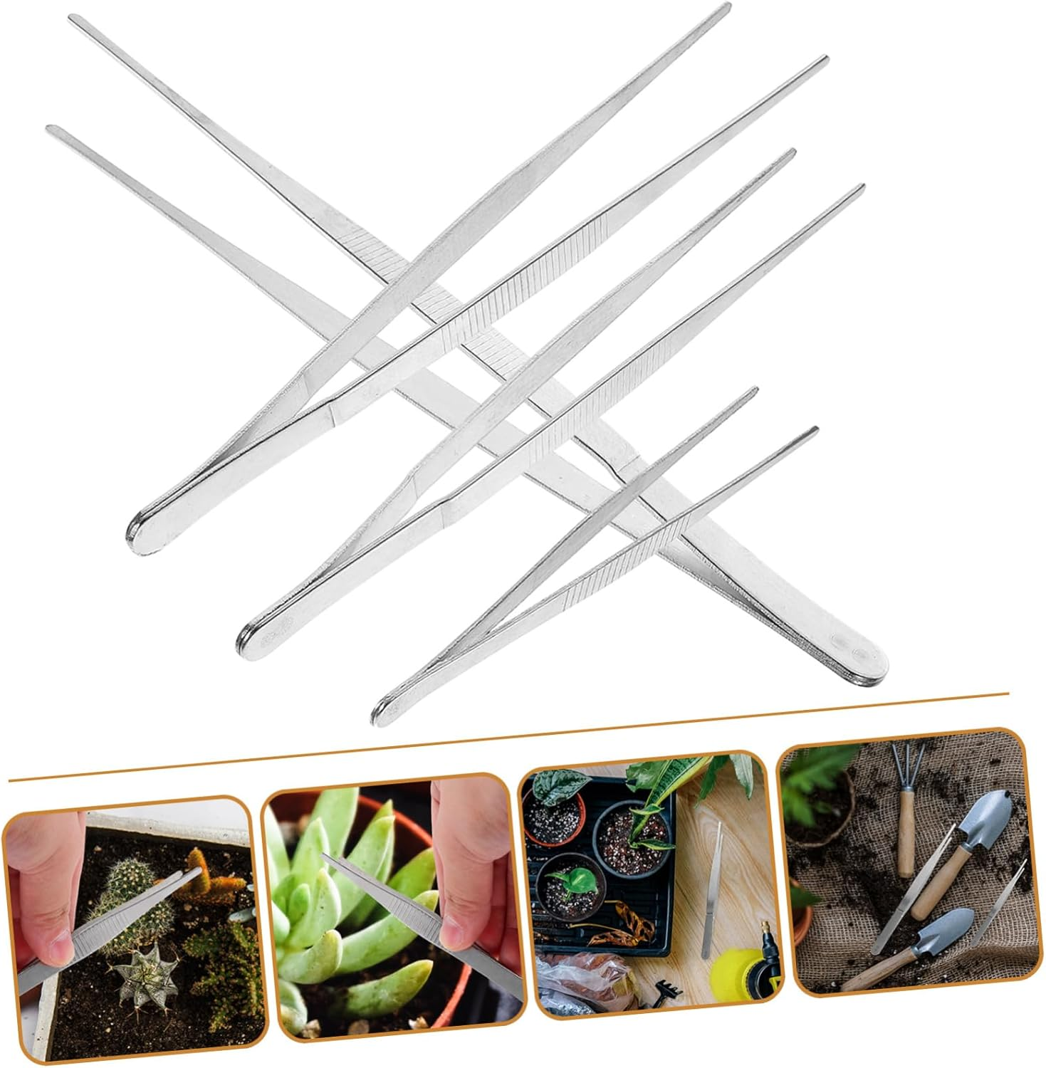 CANIGHT Stainless Steel Gardening Tweezers Set 4-Piece Long Handle Planting Tools for Succulent and 12Cm 18Cm 20Cm 25Cm image number 6