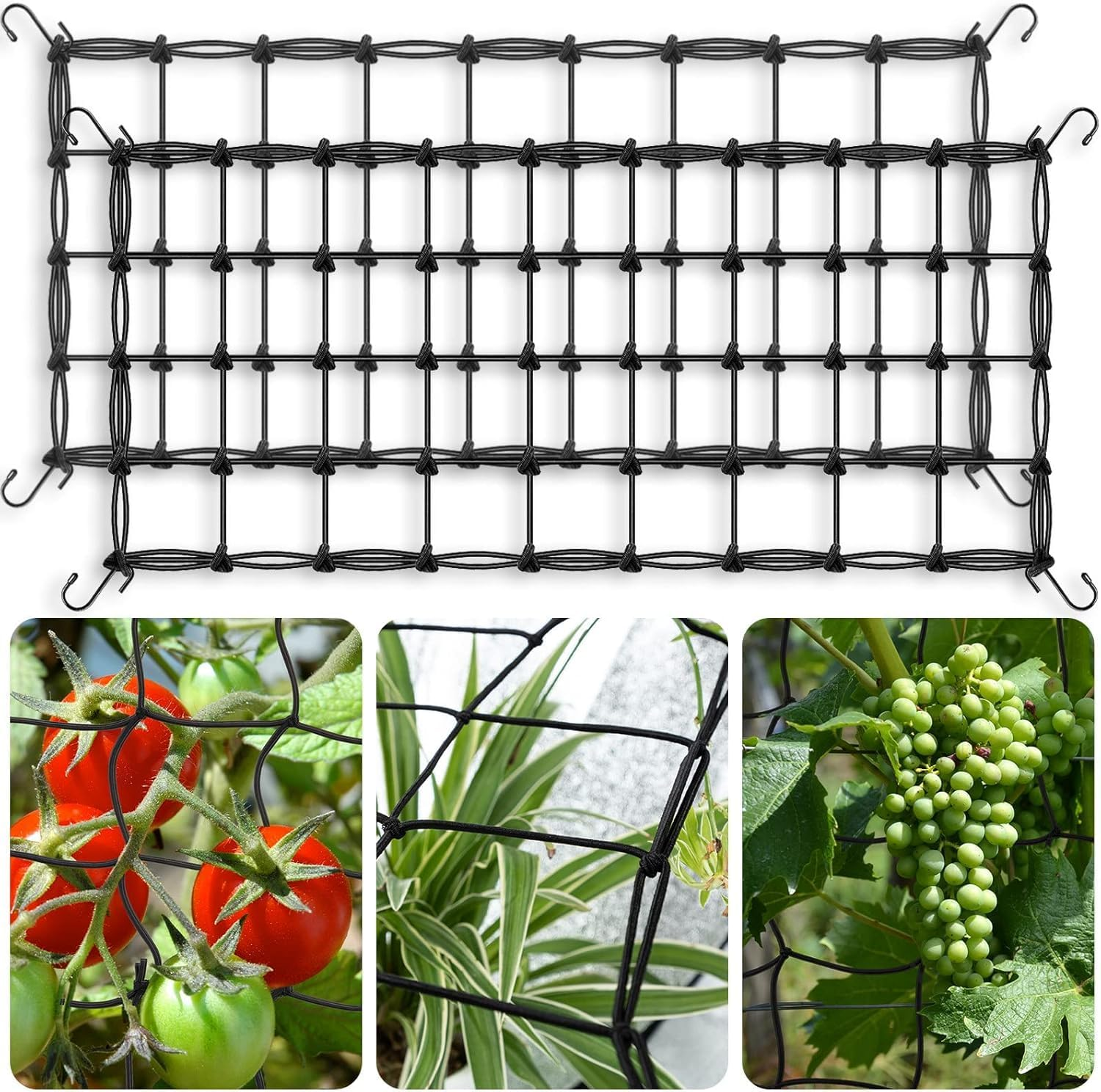 Grow Tent Trellis Netting 2X4', Elastic Netting with Steel Hooks, Flexible Hydroponics Scrog Support for Grow Tents, Gardening, and Horticulture(2 Pack) image number 2