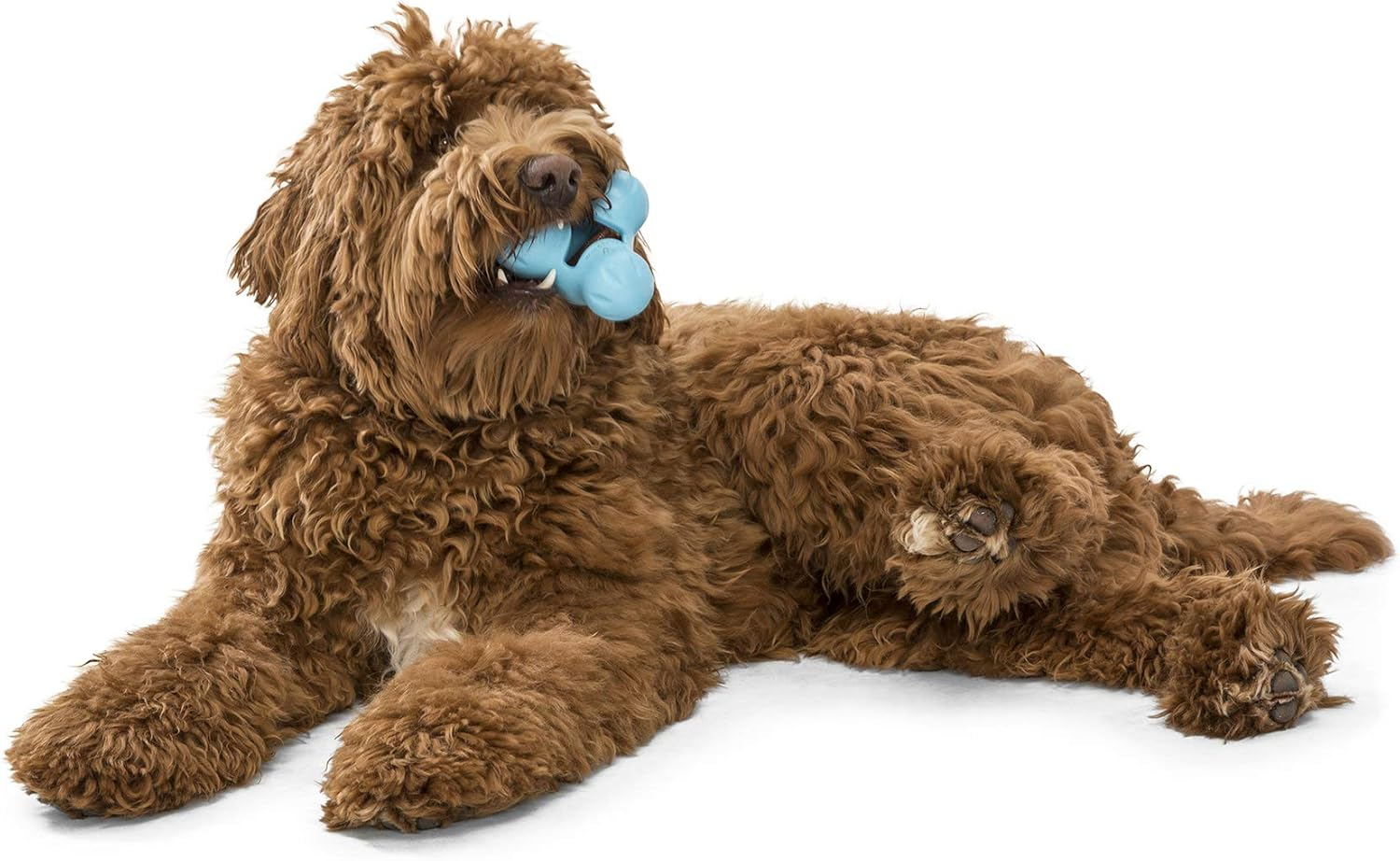 West Paw Zogoflex Tux Interactive Treat Dispensing Dog Chew Toy for Aggressive Chewers, 100% Guaranteed Tough, It Floats!, Made in USA, Large, Aqua - Aqua Blue image number 3