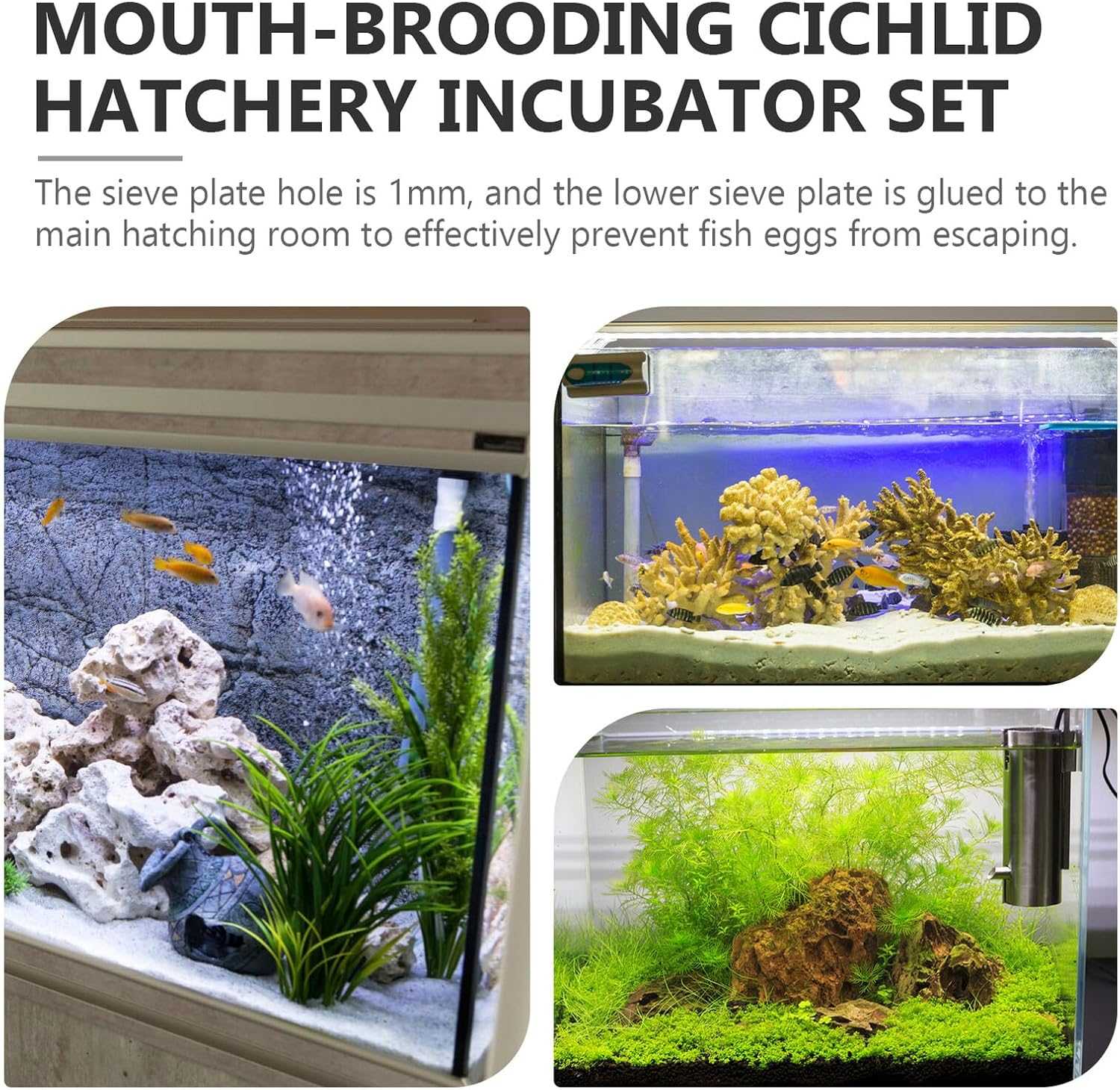 MINAOLULUS Mouth-Brooding Cichlid Fish Breeding Incubator Tube Acrylic Aquarium Hatchery with Suction Cups for Tropical Aquatic Pets image number 5