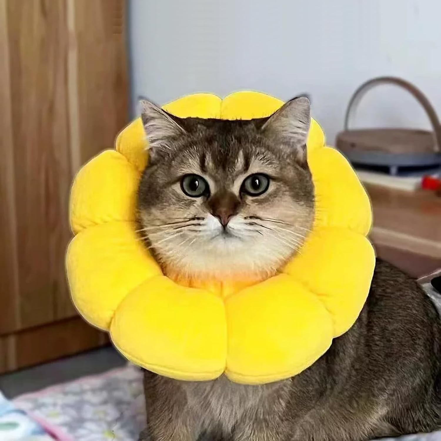 Cat Collar, Soft for Collar, Elizabethan Collar, Cat Collar, Cat Adjustable Elizabethan Collar, Pets Scratching after Surgery Protection, Dog Collar image number 4