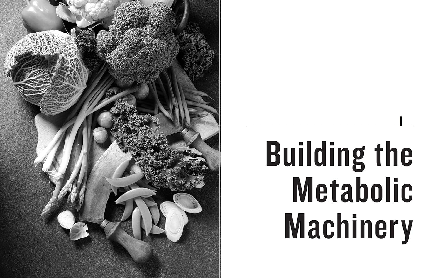 Keto Reset Diet: Reboot Your Metabolism in 21 Days and Burn Fat Forever image number 4