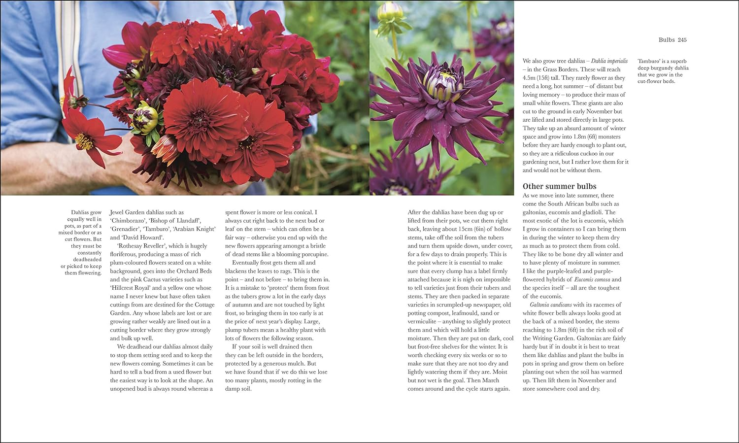 The Complete Gardener: a Practical, Imaginative Guide to Every Aspect of Gardening image number 5