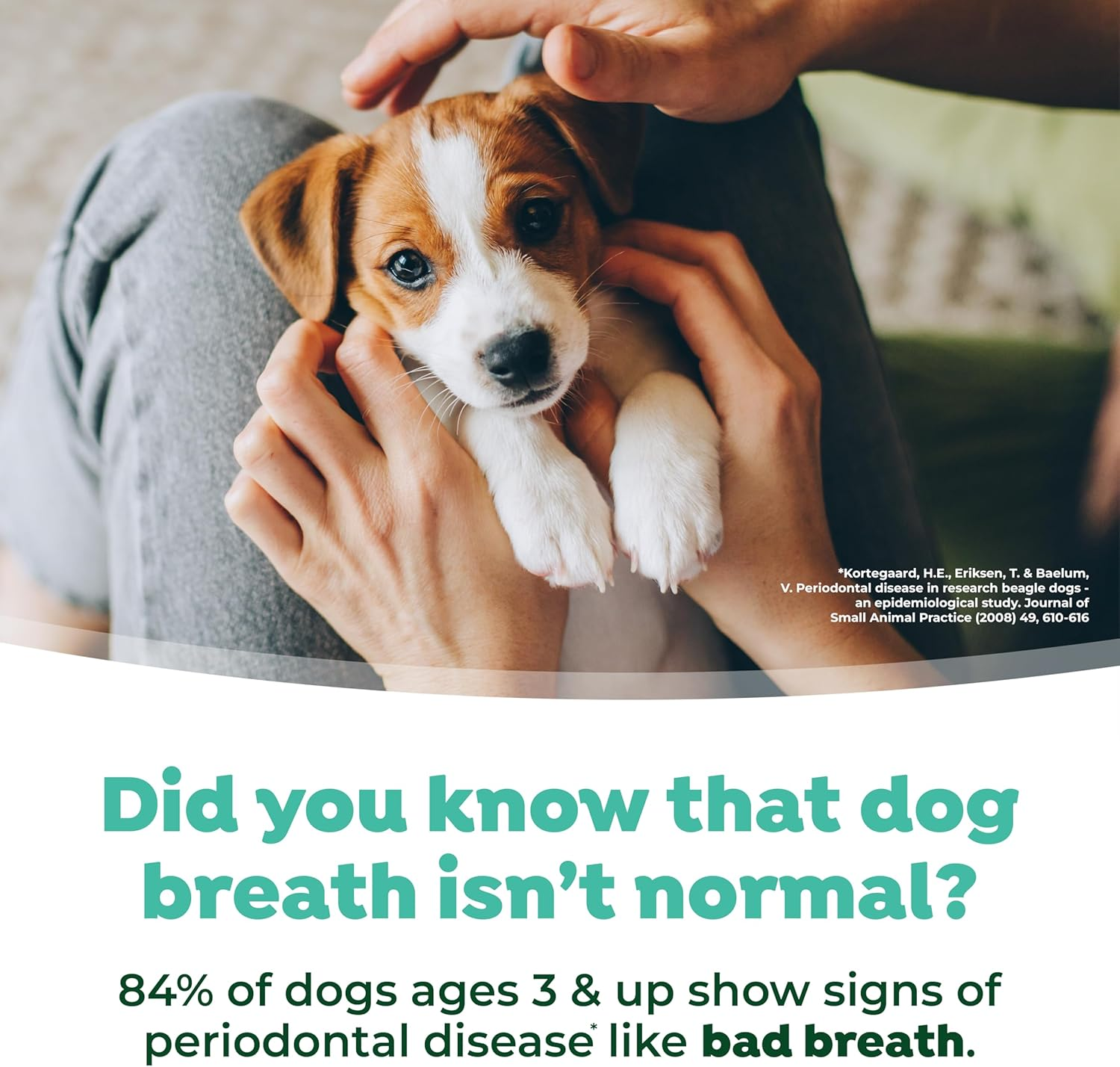 Tropiclean Fresh Breath No Brushing Teeth Cleaning Dental Health Water Additive Solution for Puppies 473Ml image number 2