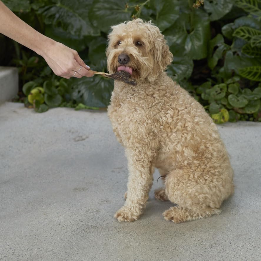 Kazoo Prime Cuts Kangaroo Tendons - 250Gm image number 1